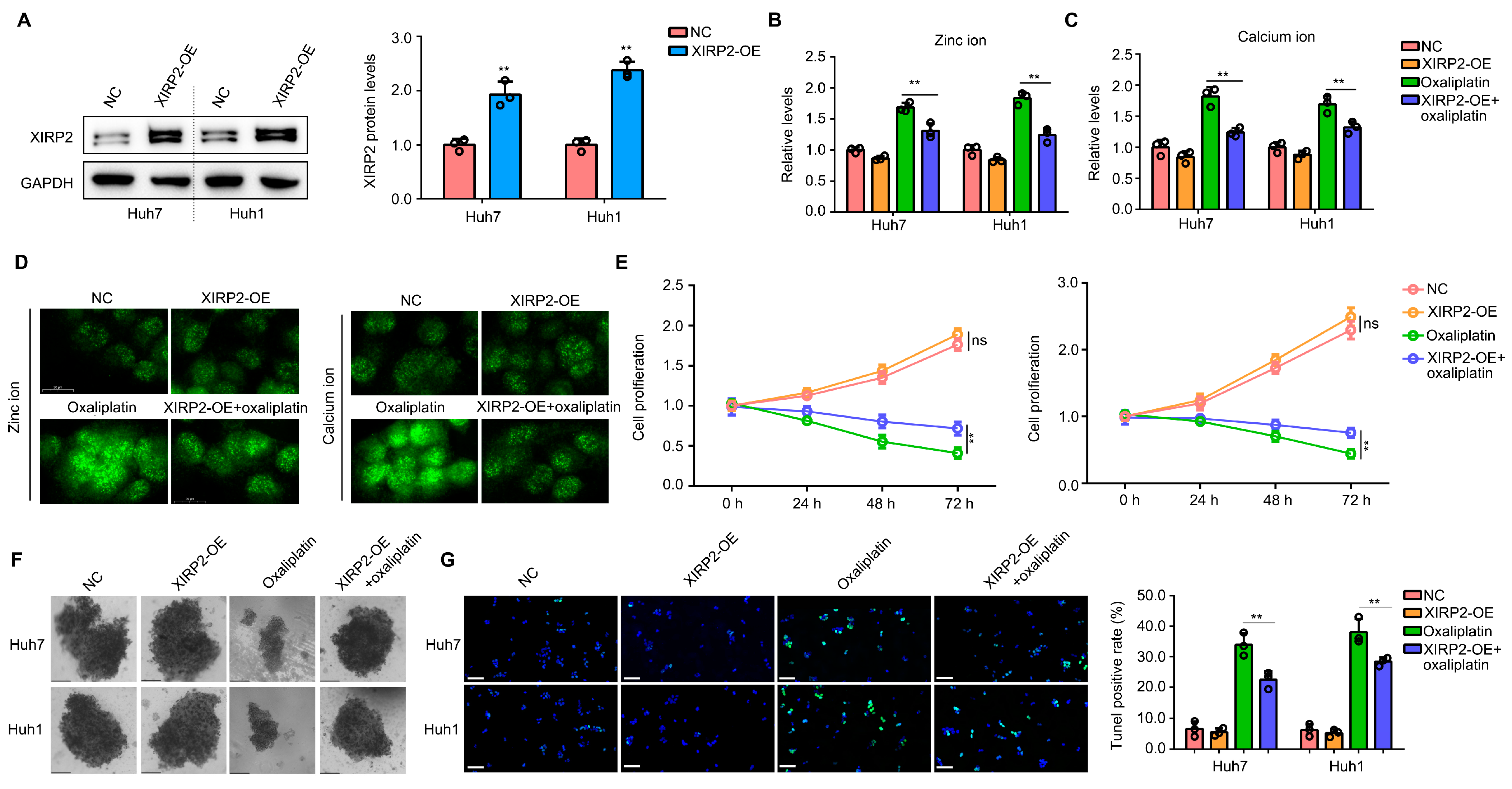 Biology 13 00633 g005