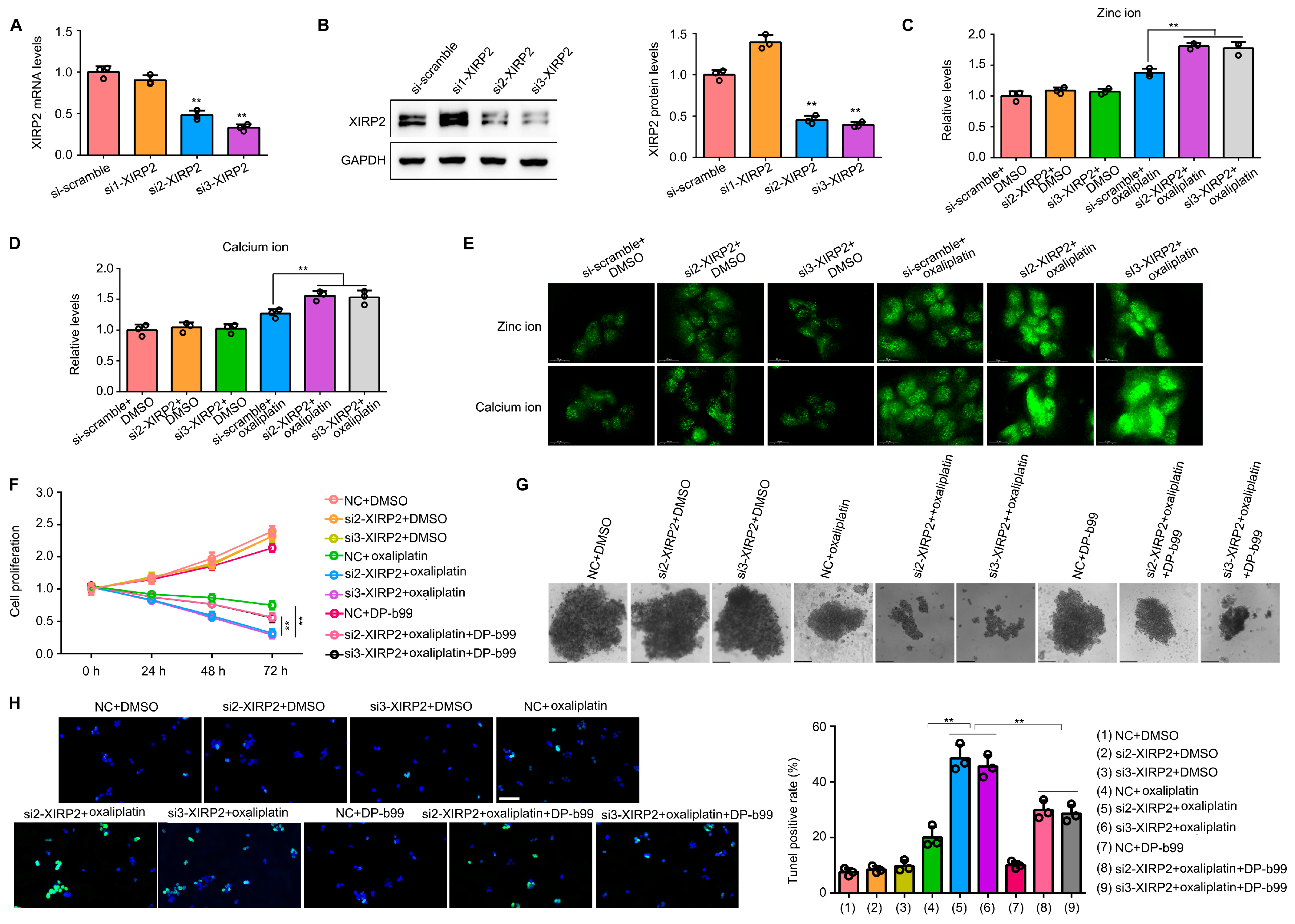 Biology 13 00633 g006