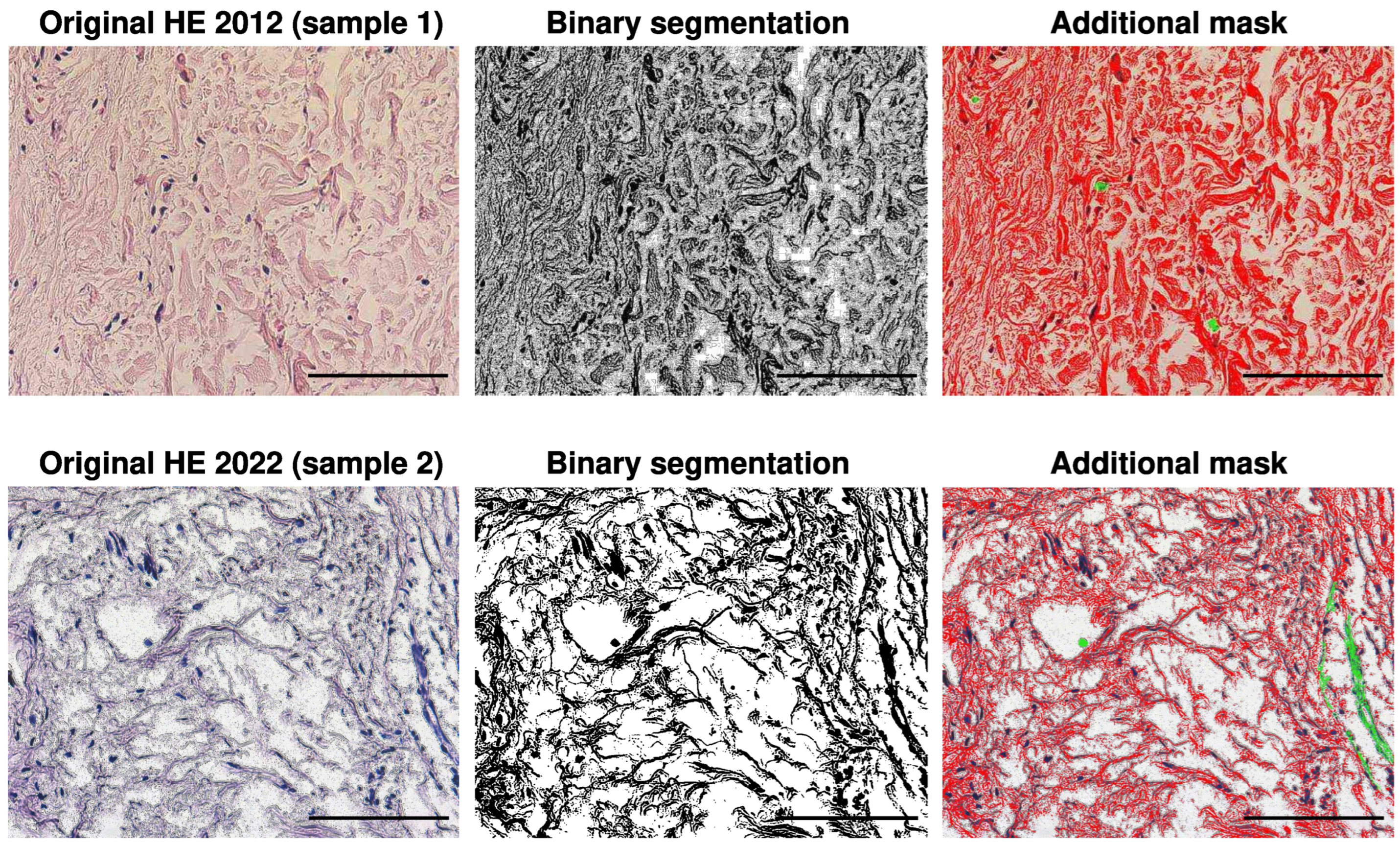 Biology 13 00636 g001