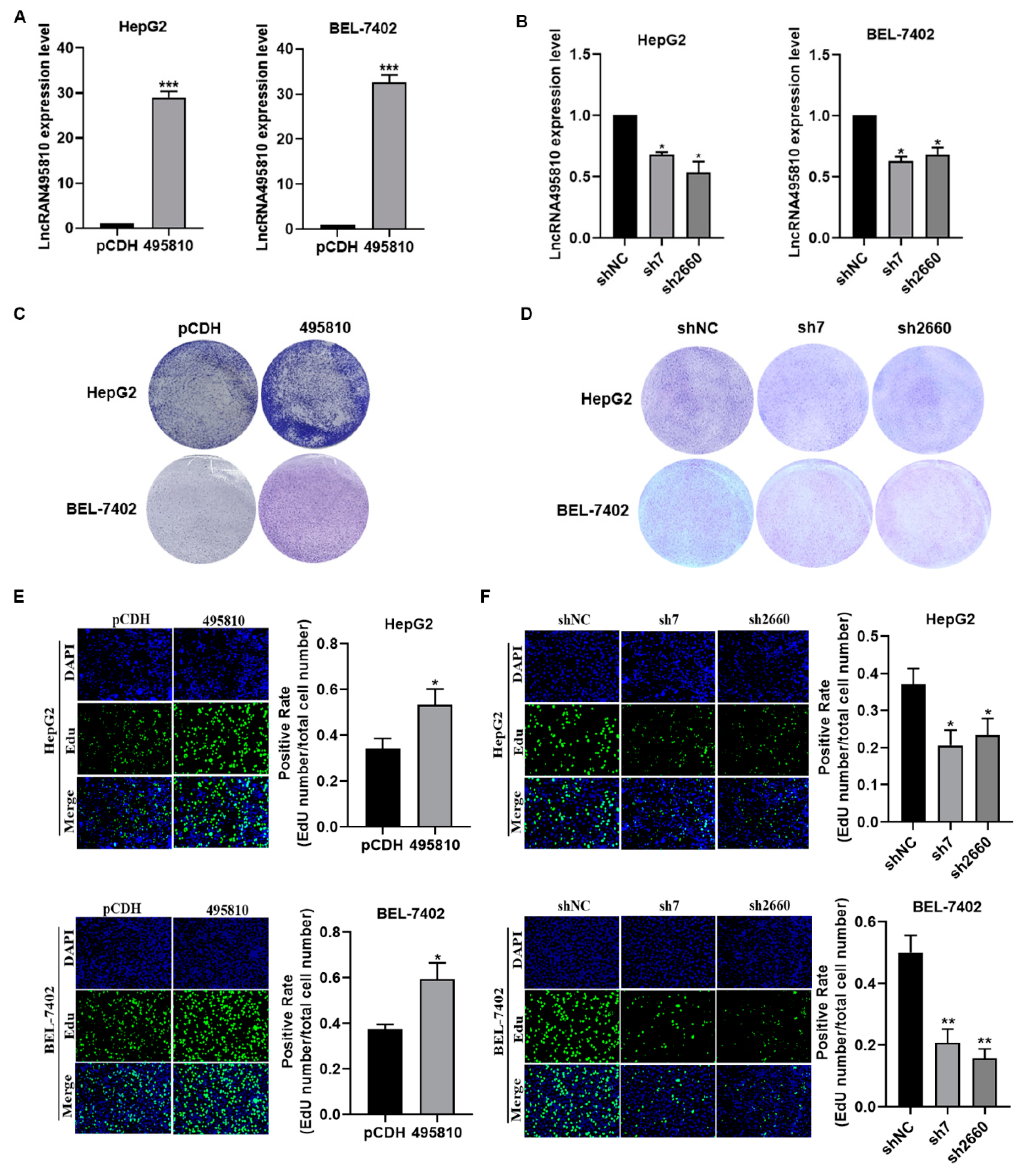 Biology 13 00644 g002