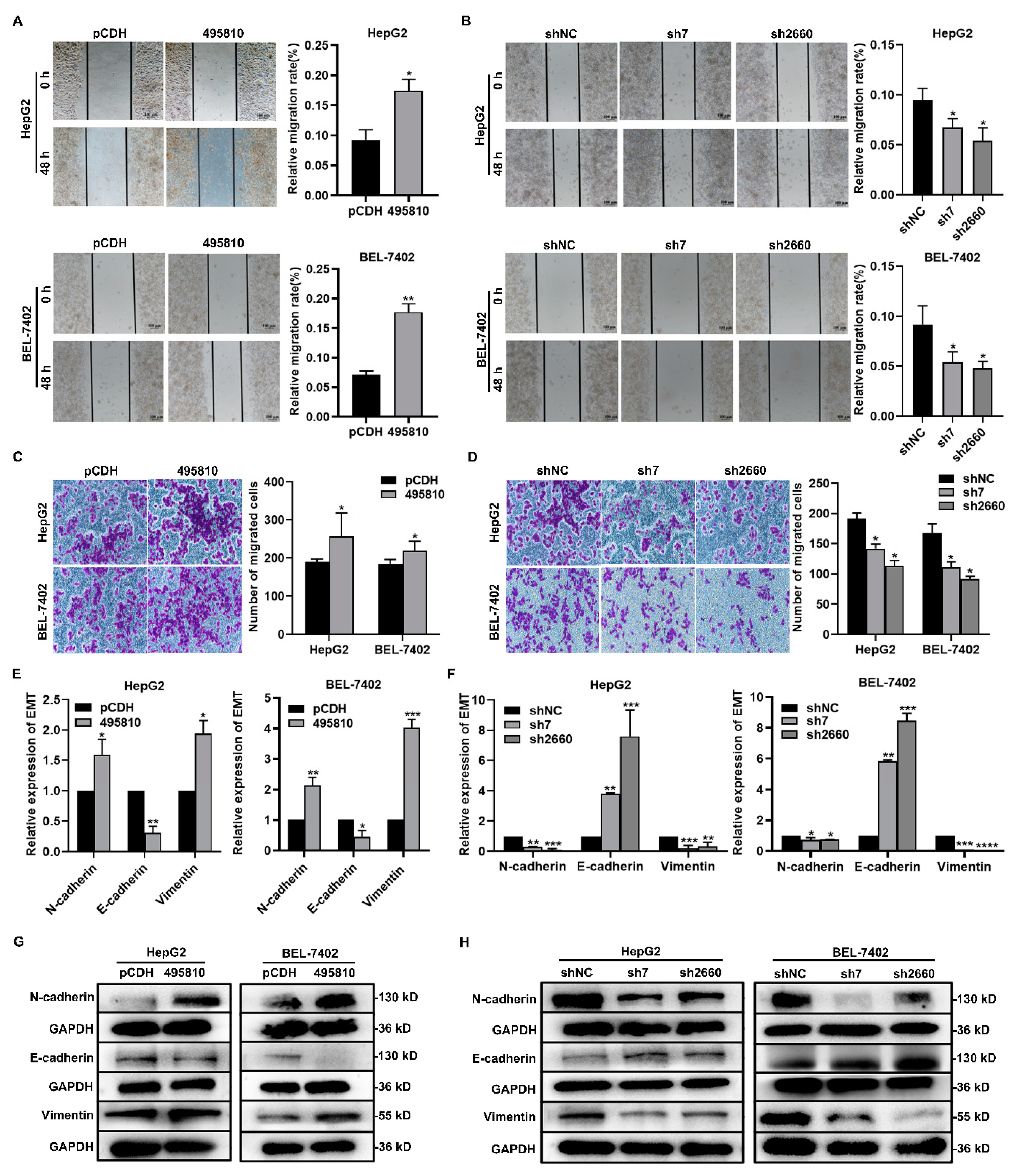 Biology 13 00644 g004