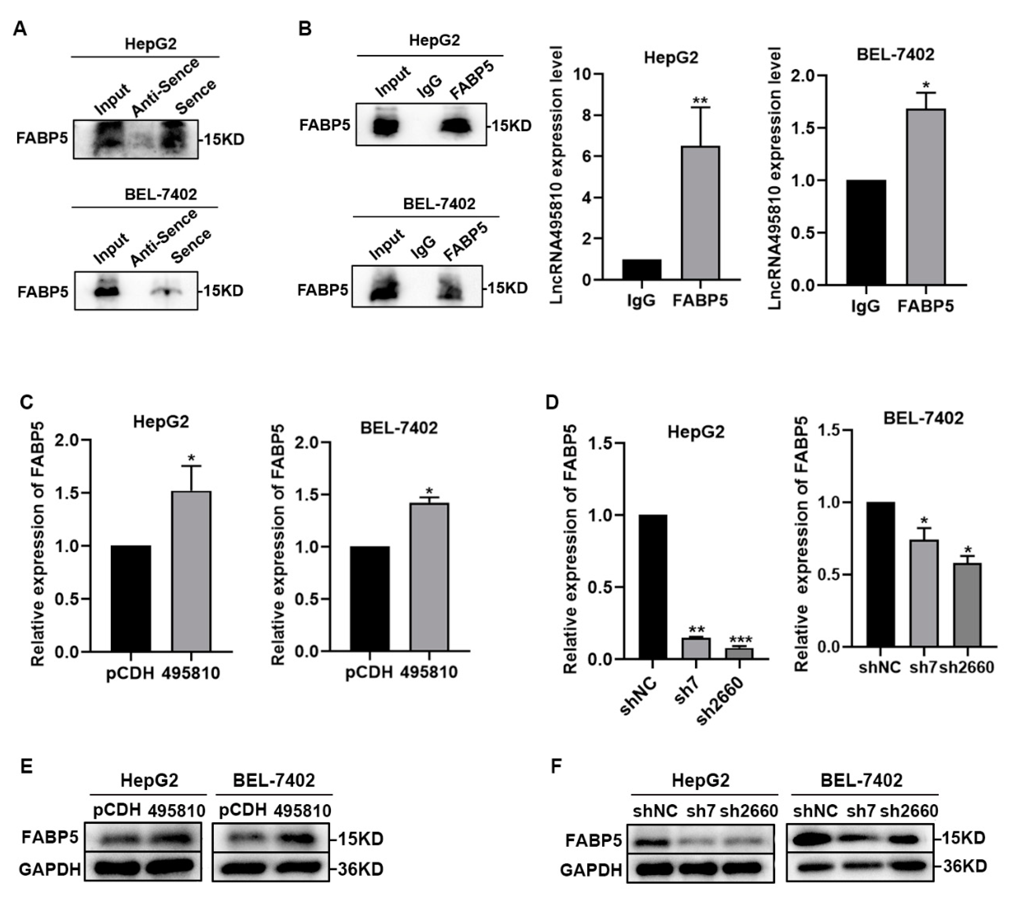 Biology 13 00644 g006