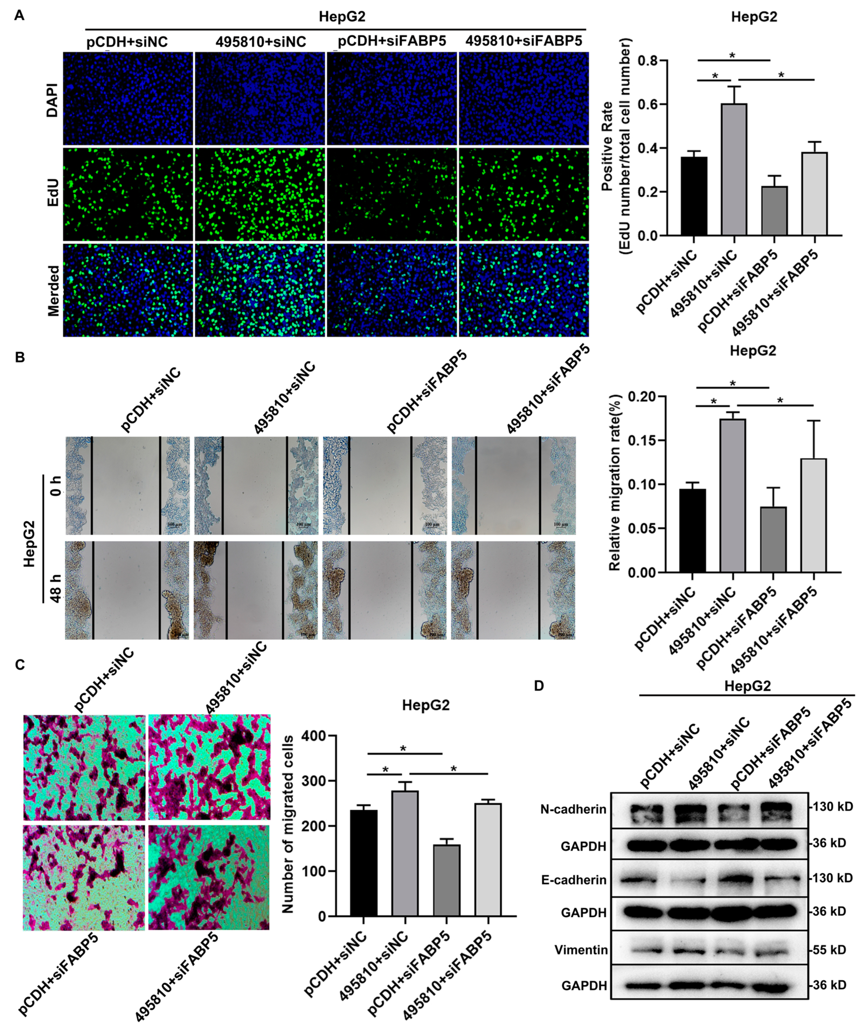 Biology 13 00644 g007