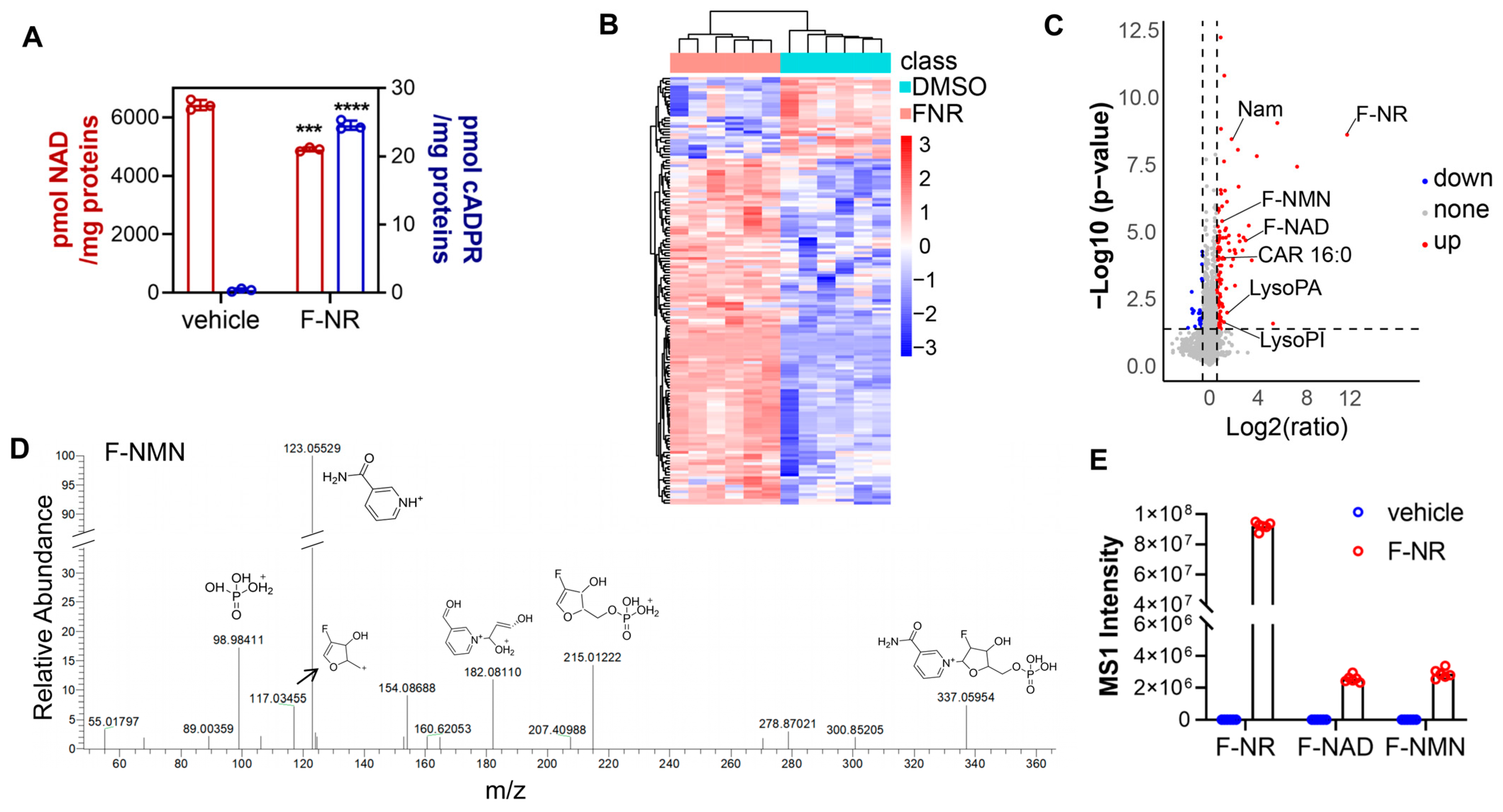 Biology 13 00649 g002