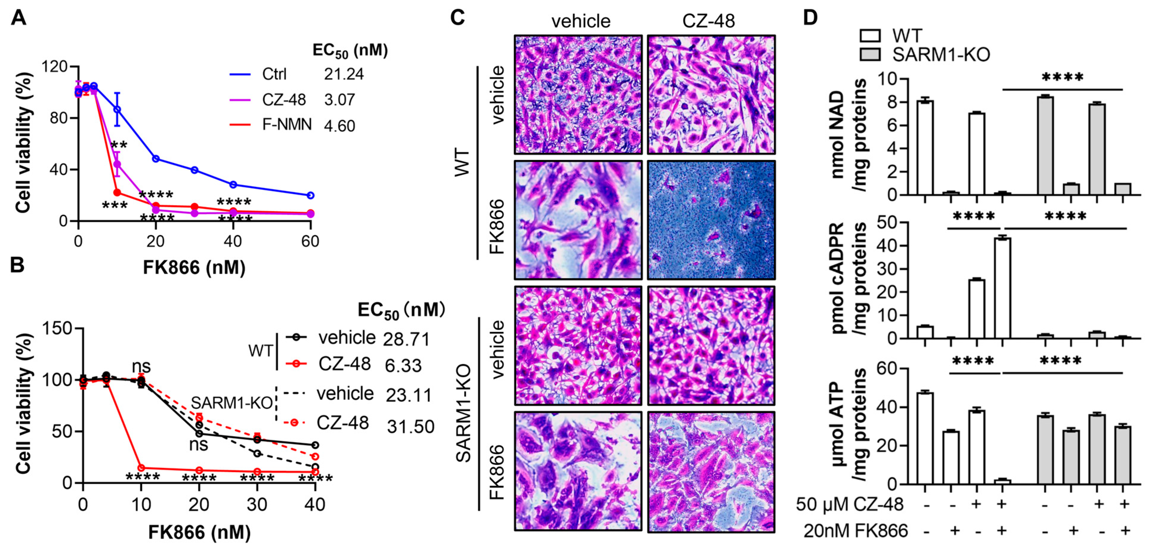 Biology 13 00649 g004