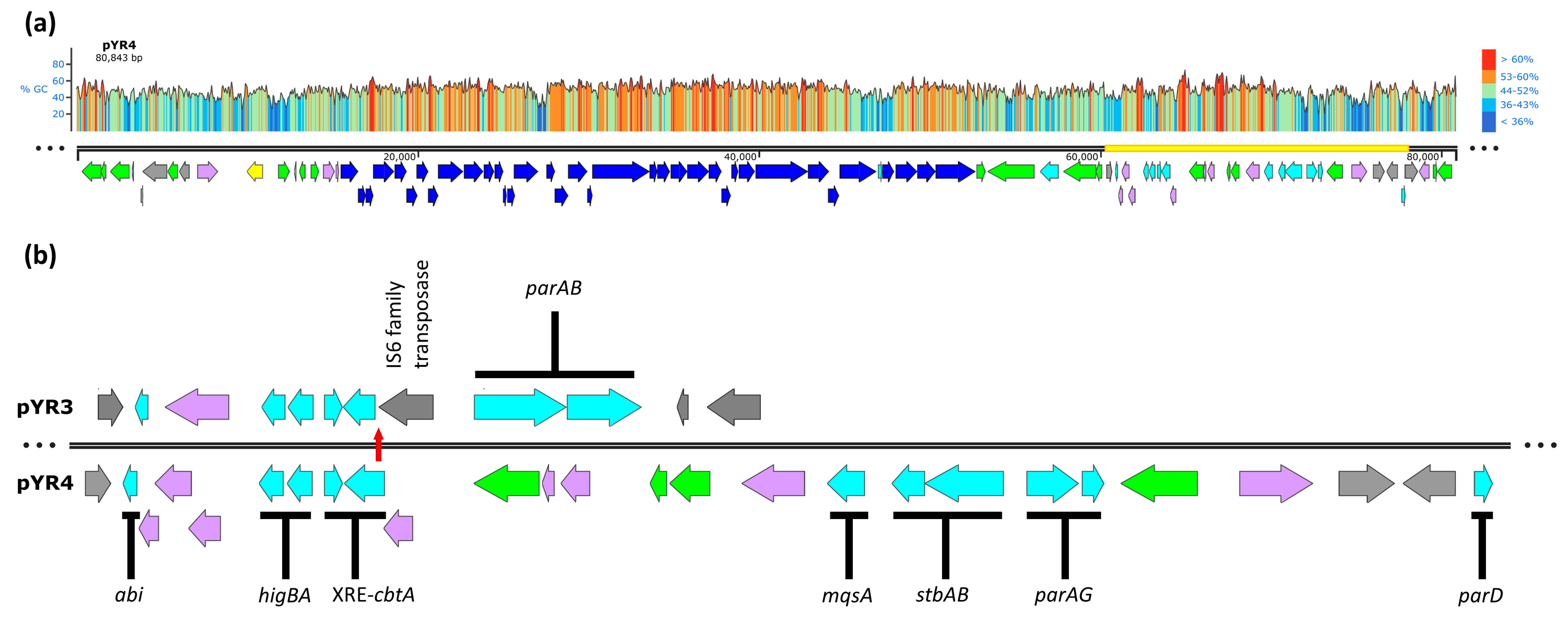Biology 13 00652 g001