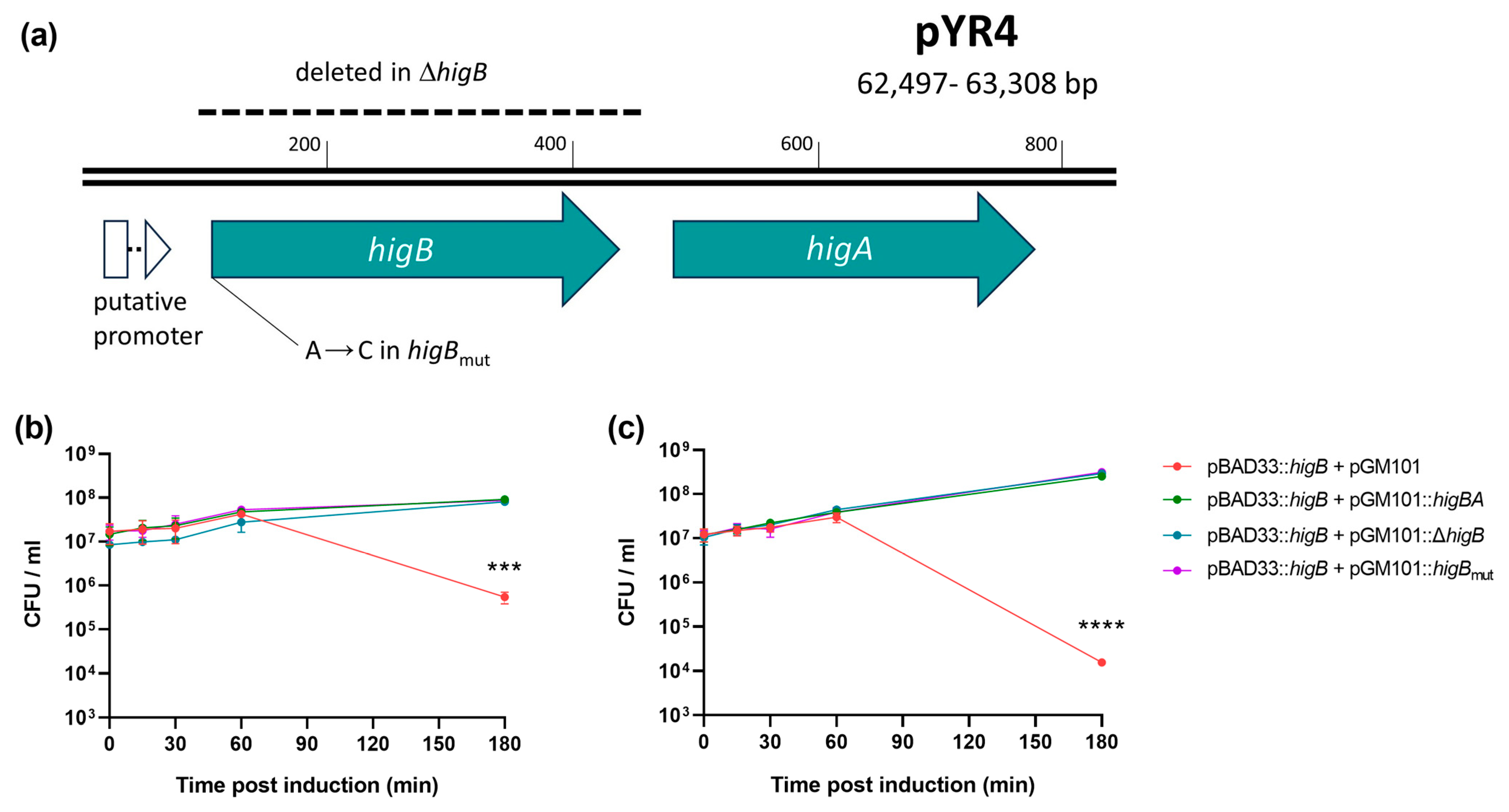 Biology 13 00652 g002