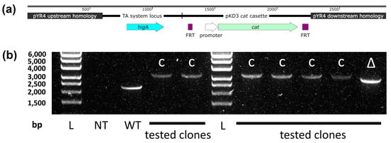 Biology 13 00652 g0a1