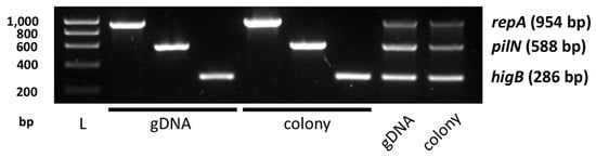 Biology 13 00652 g0a2