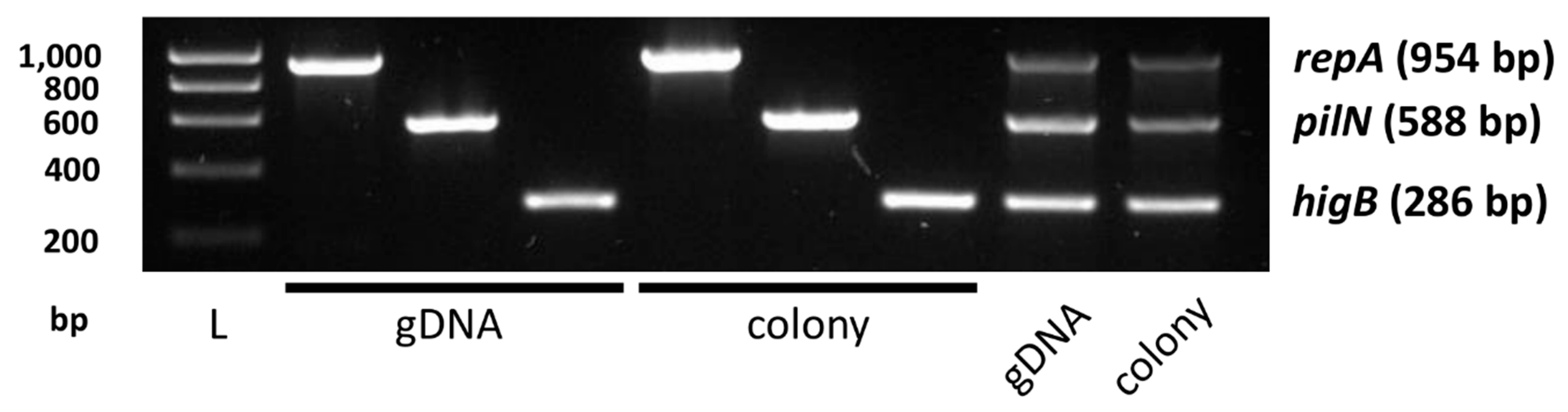Biology 13 00652 g0a2