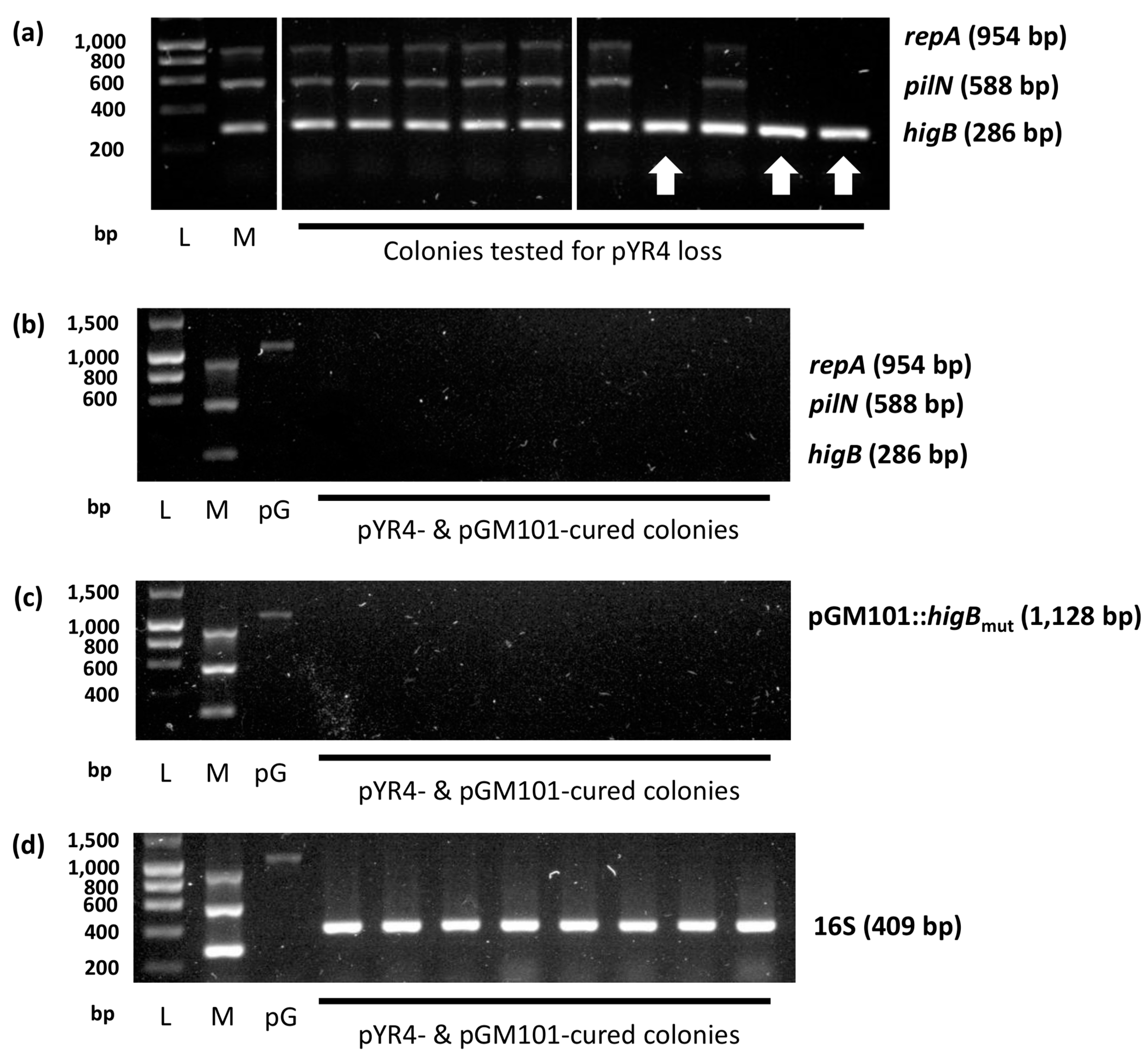 Biology 13 00652 g0a3