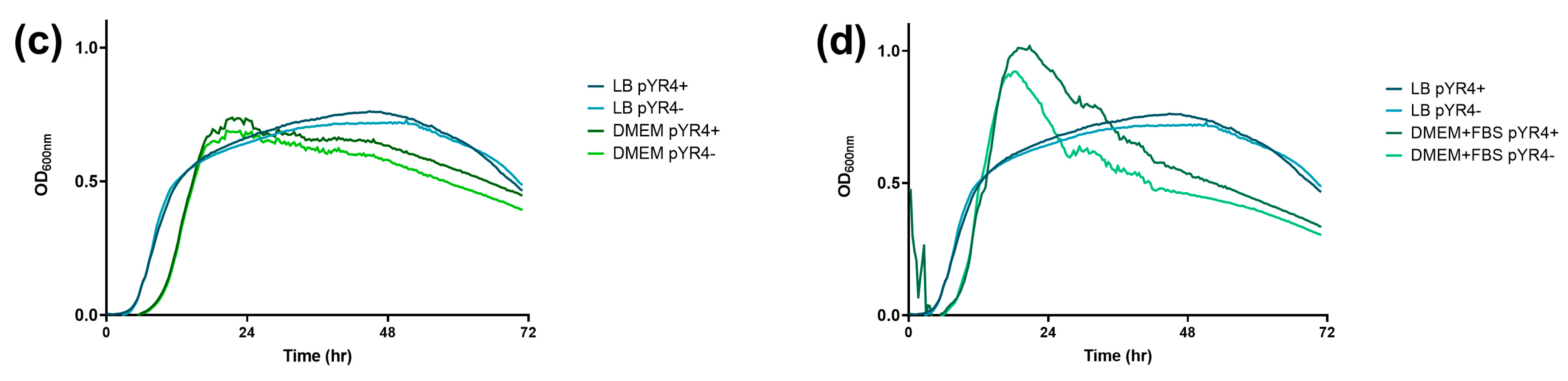 Biology 13 00652 g0a4b