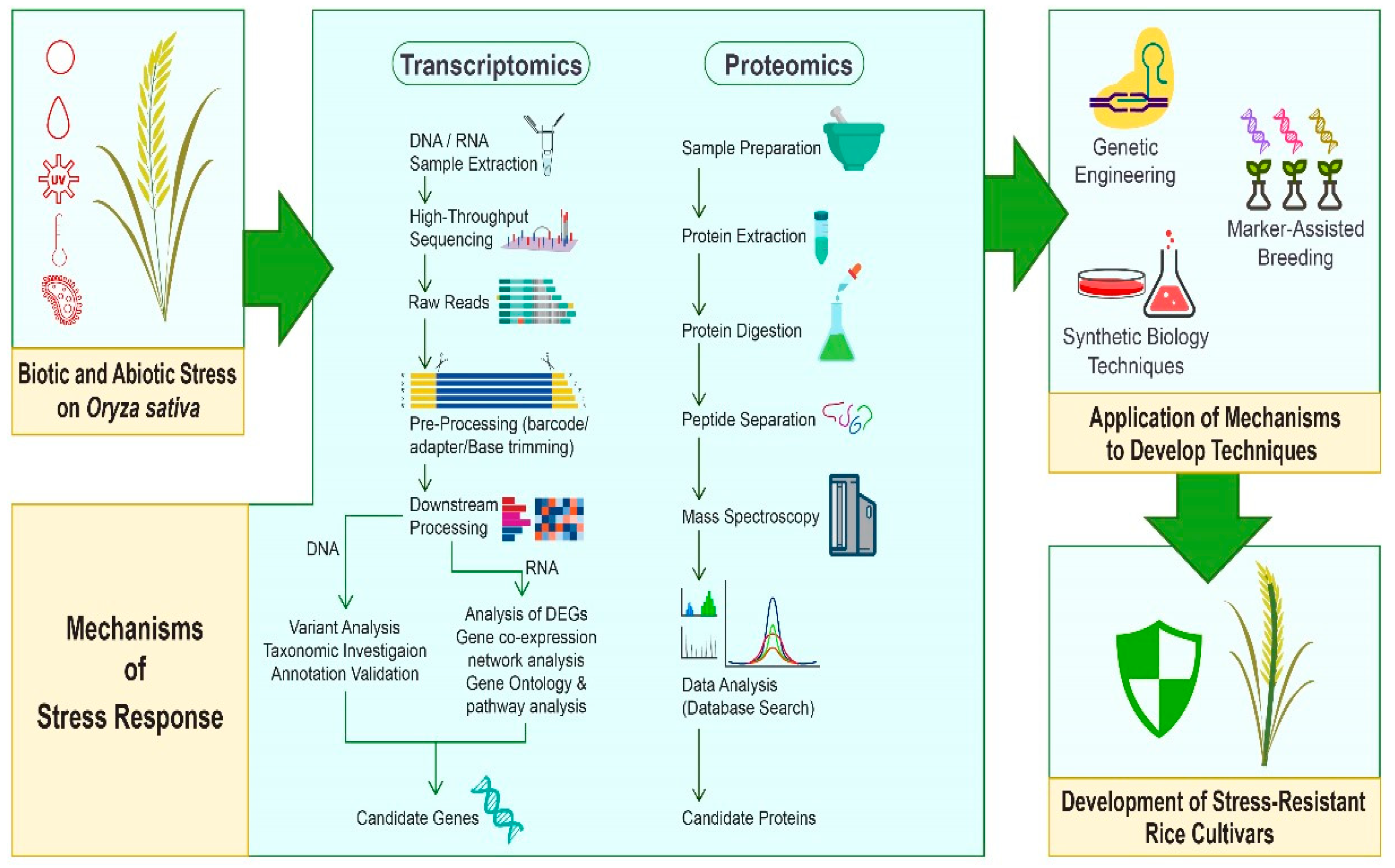 Biology 13 00659 g001