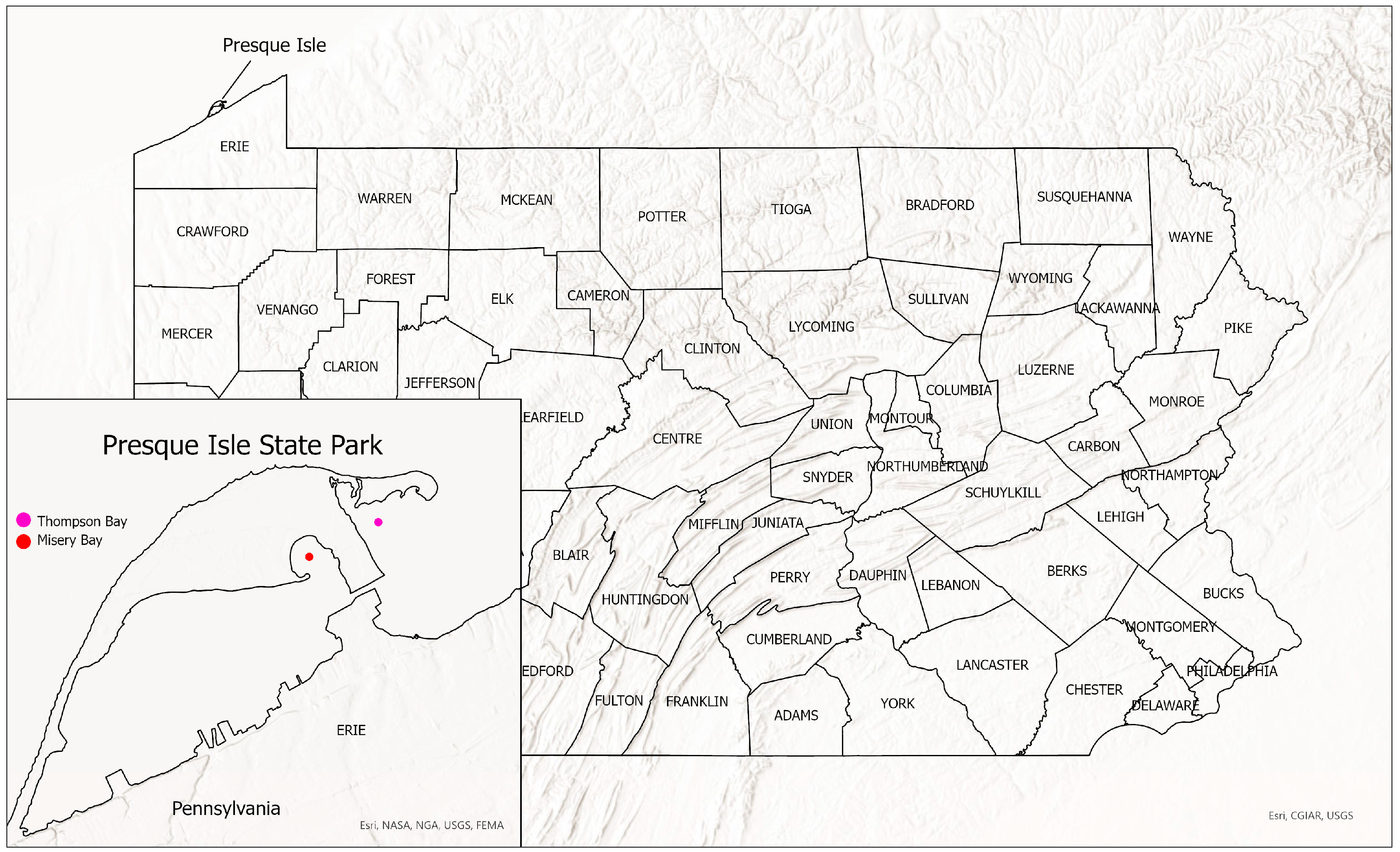 Biology 13 00660 g001