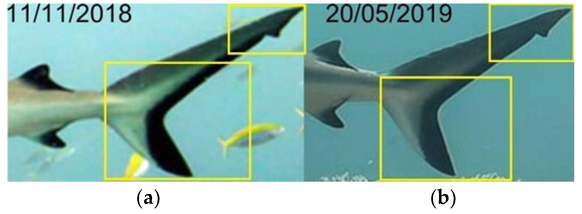 Biology 13 00661 g004