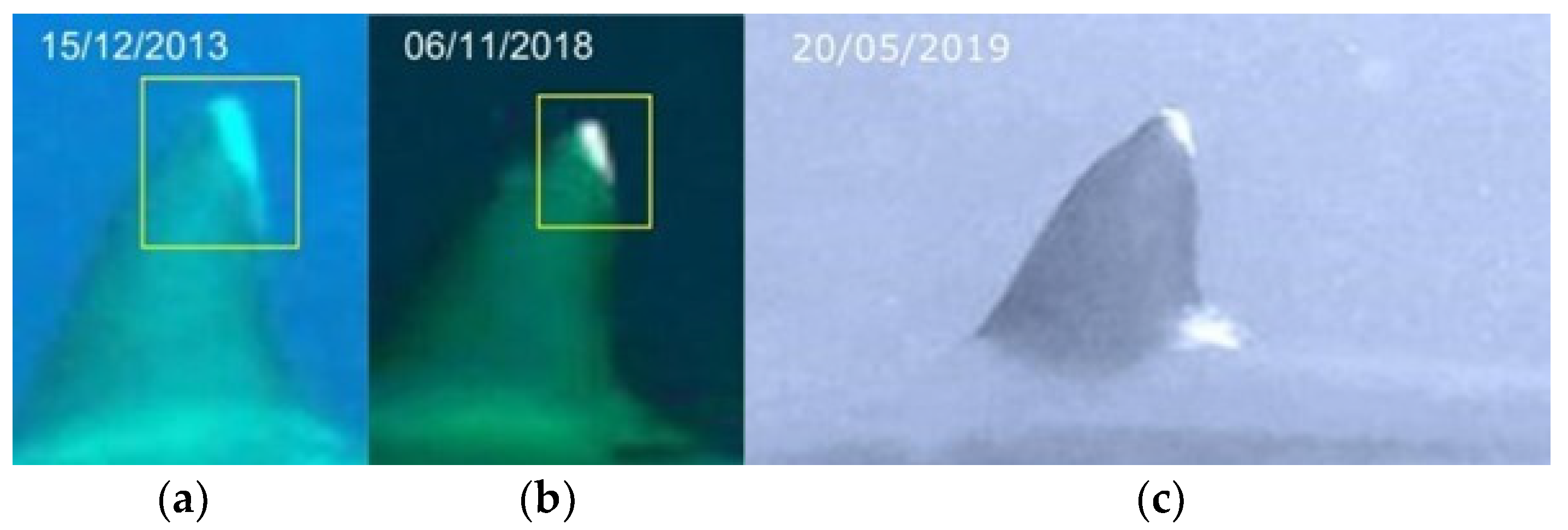 Biology 13 00661 g005