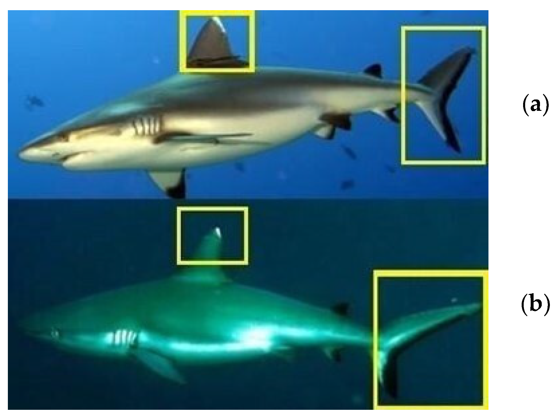 Biology 13 00661 g007