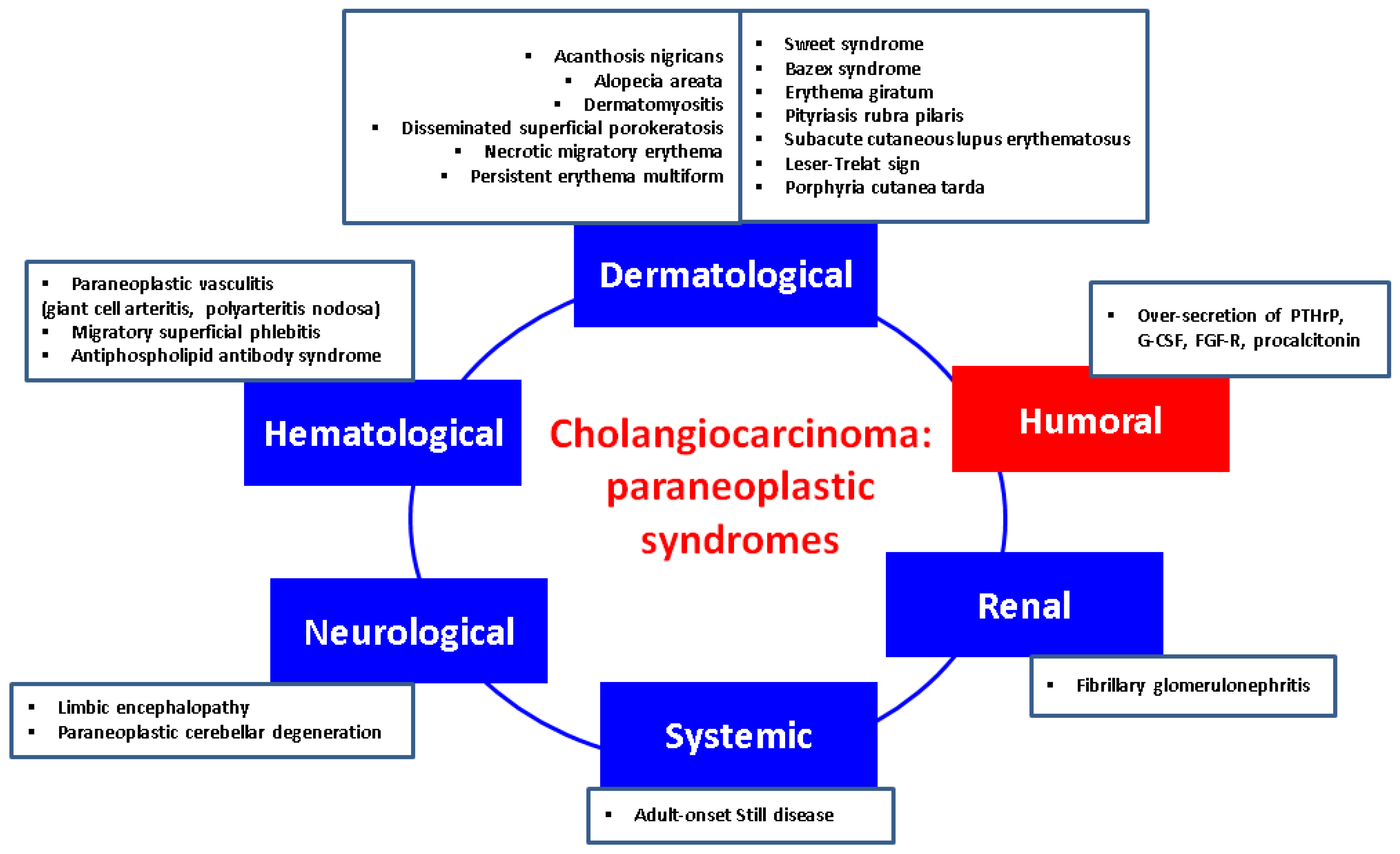 Biology 13 00662 g001