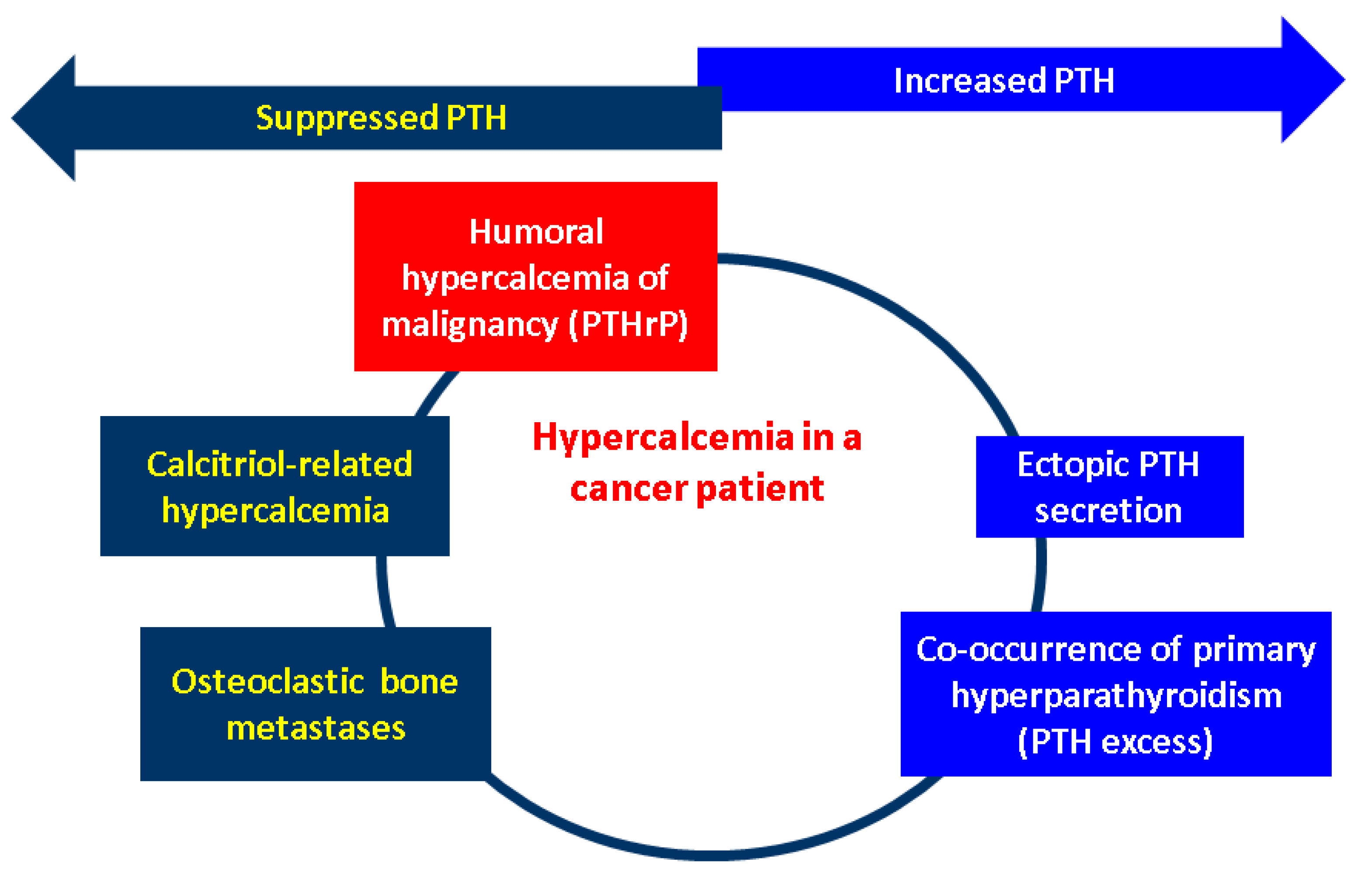 Biology 13 00662 g002