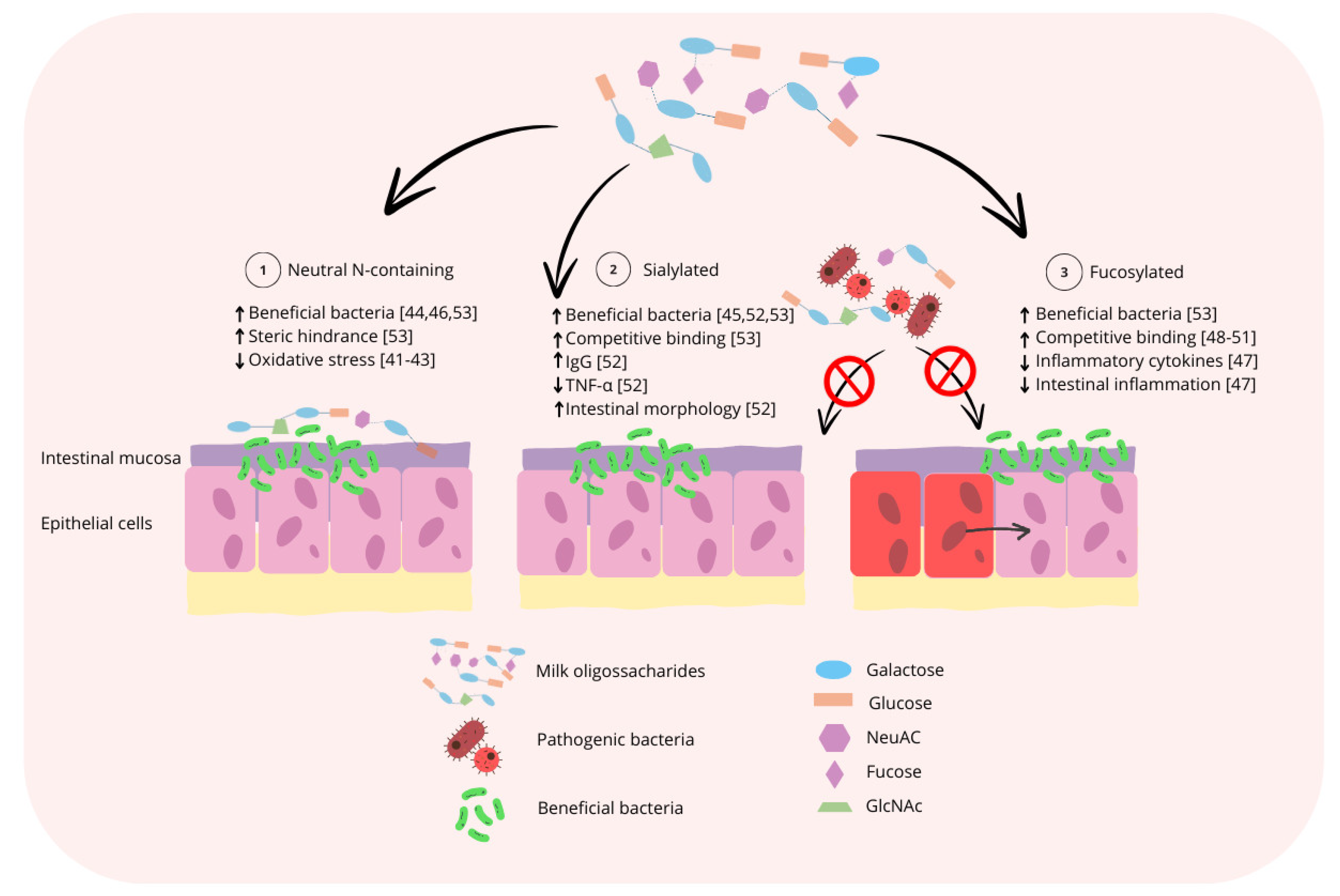 Biology 13 00663 g003