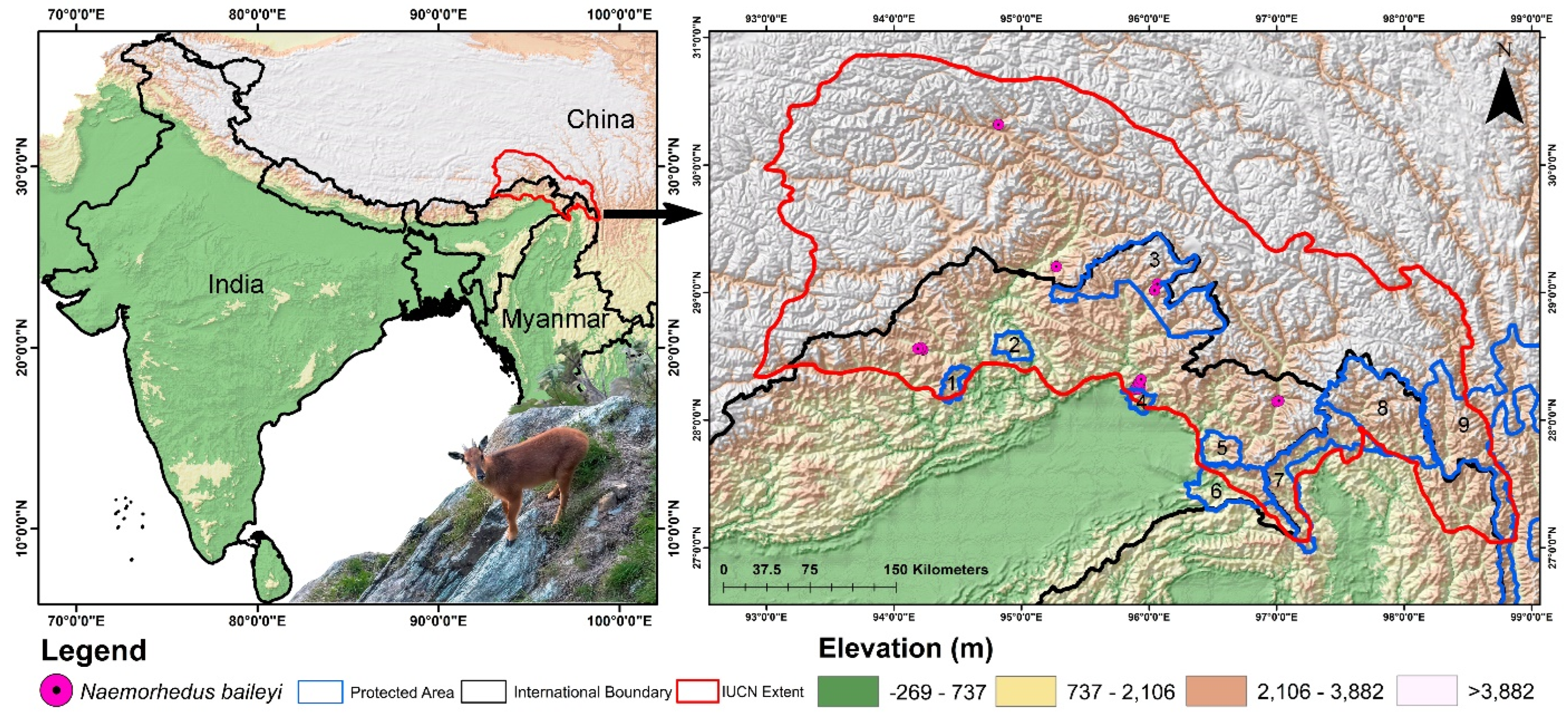 Biology 13 00667 g001