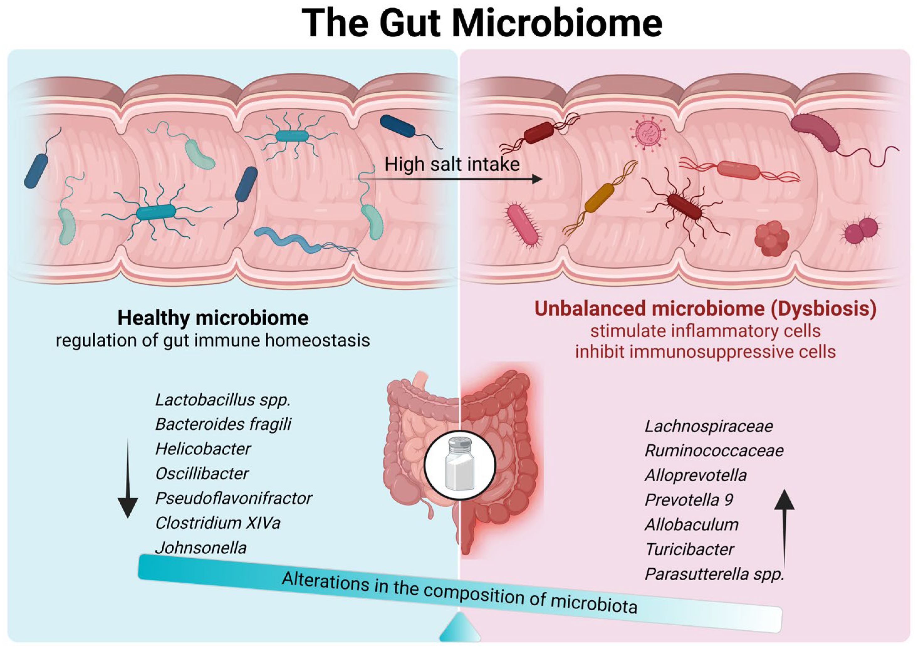 Biology 13 00674 g001