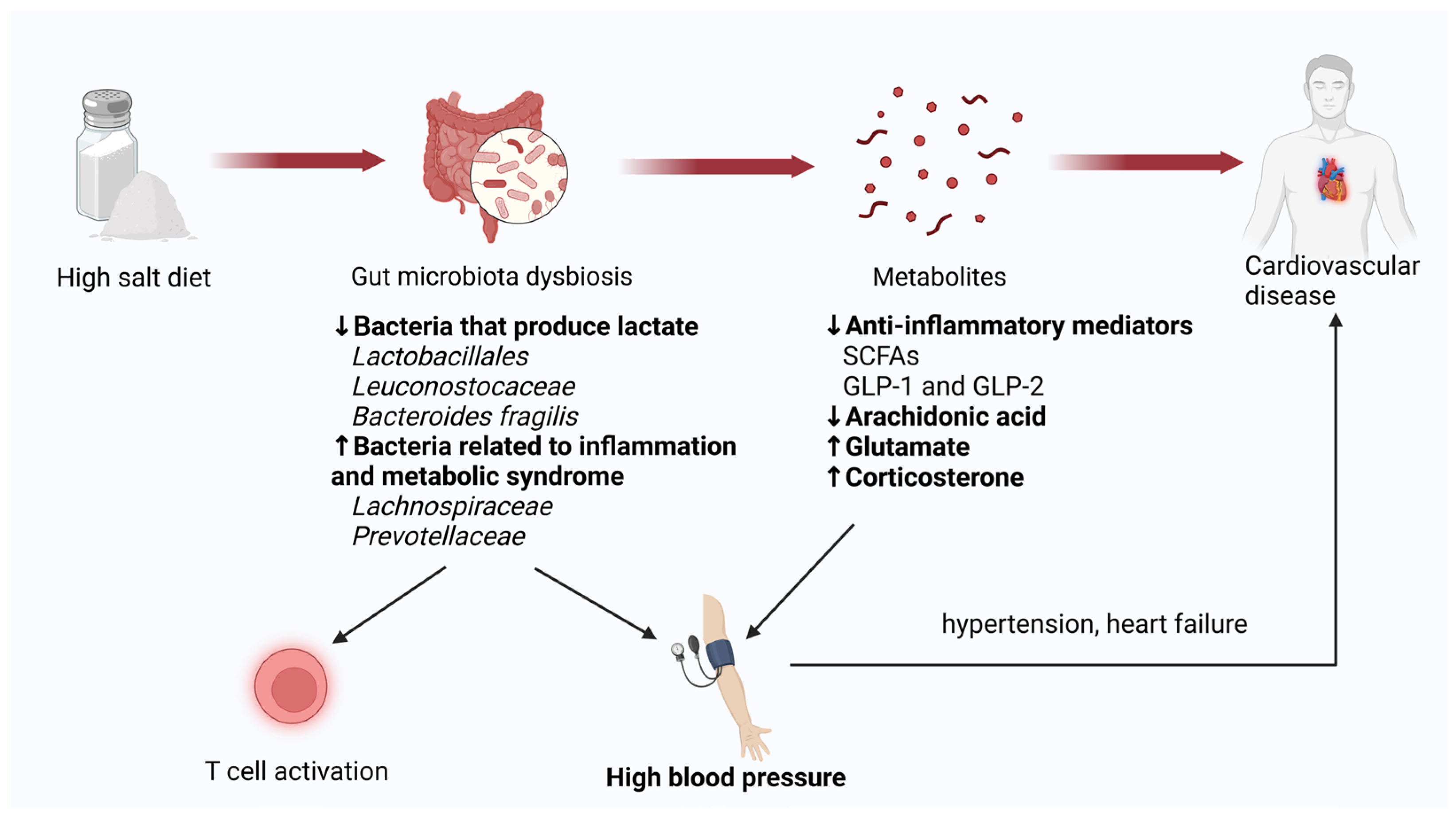 Biology 13 00674 g002