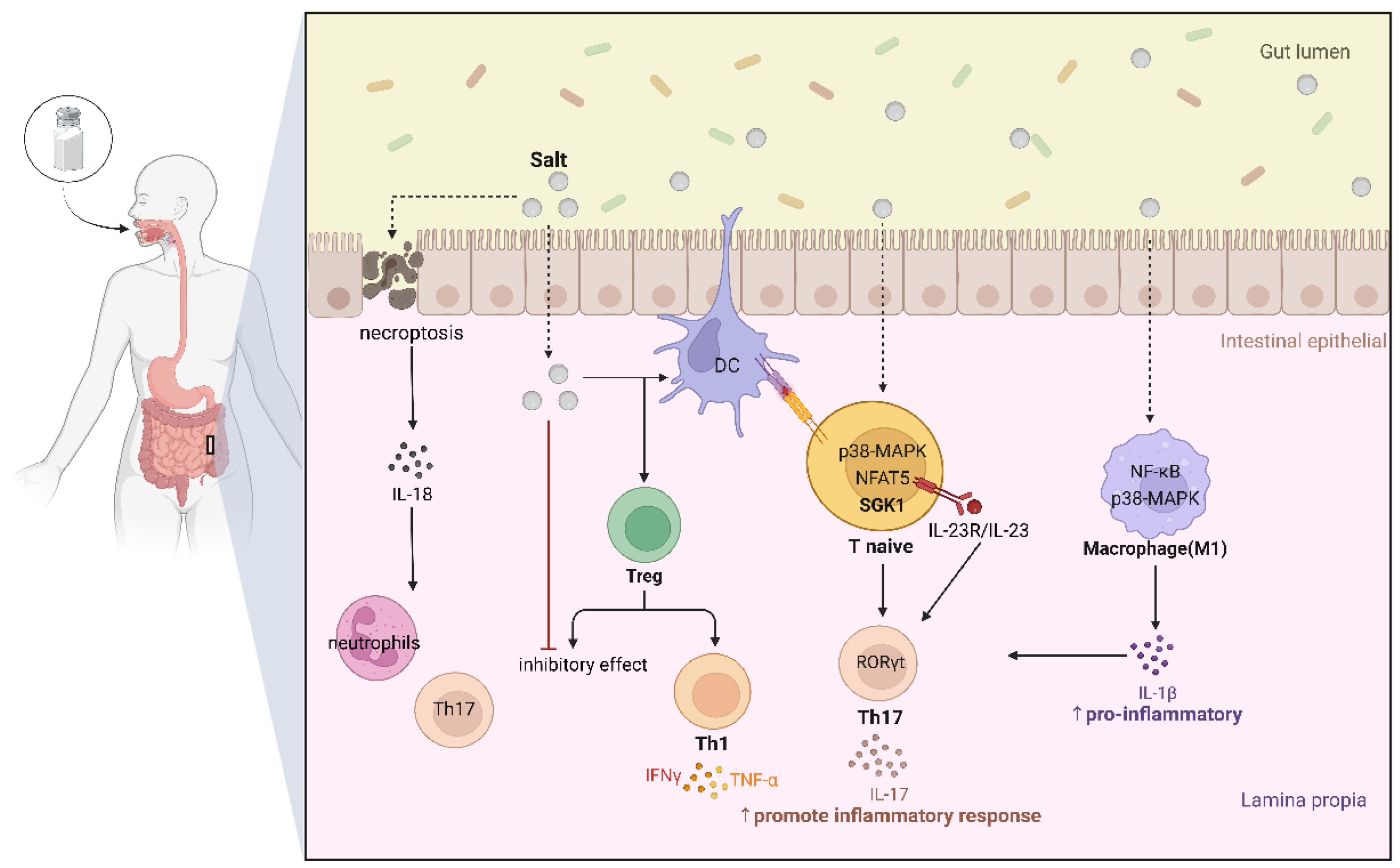 Biology 13 00674 g003