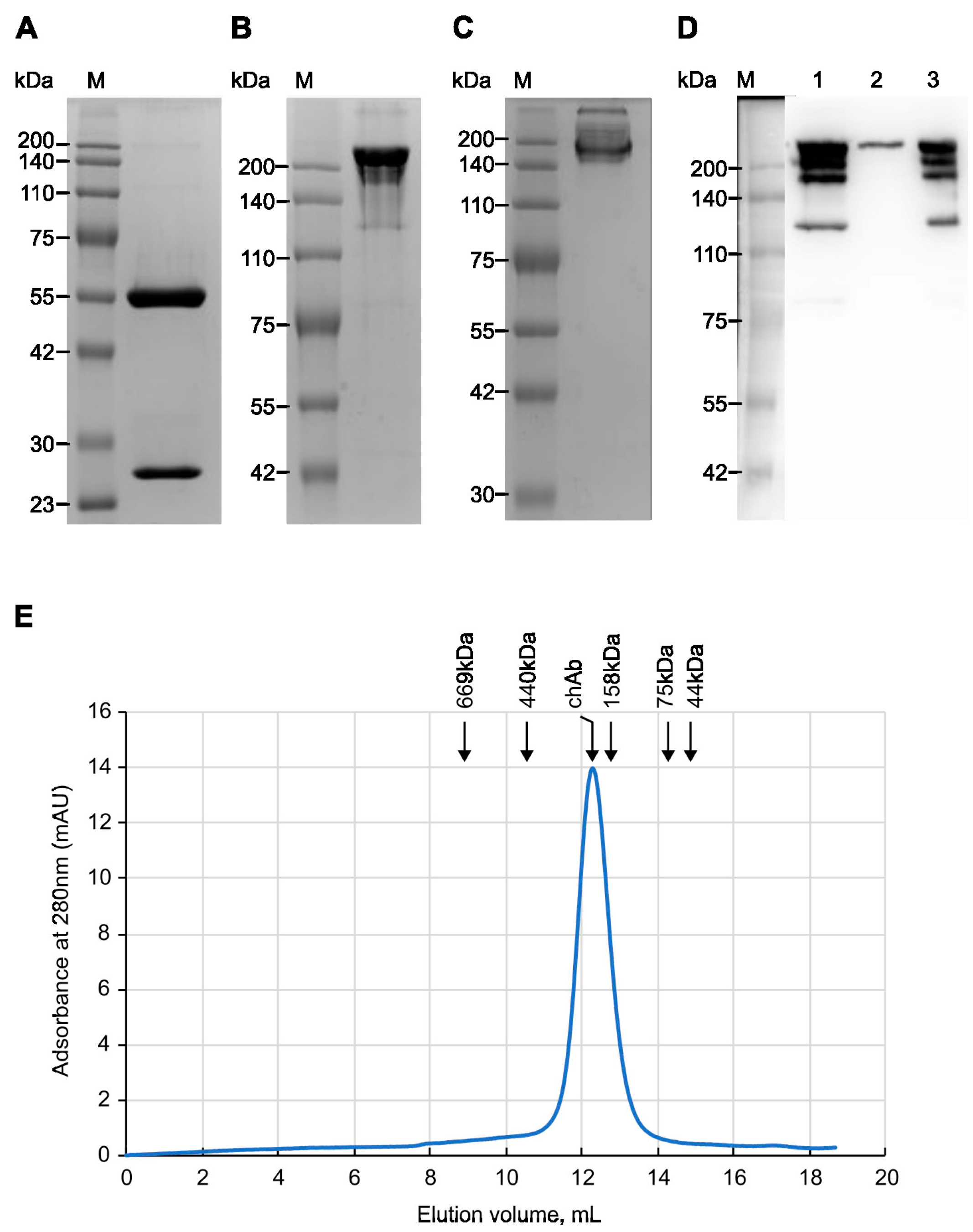 Biology 13 00675 g002