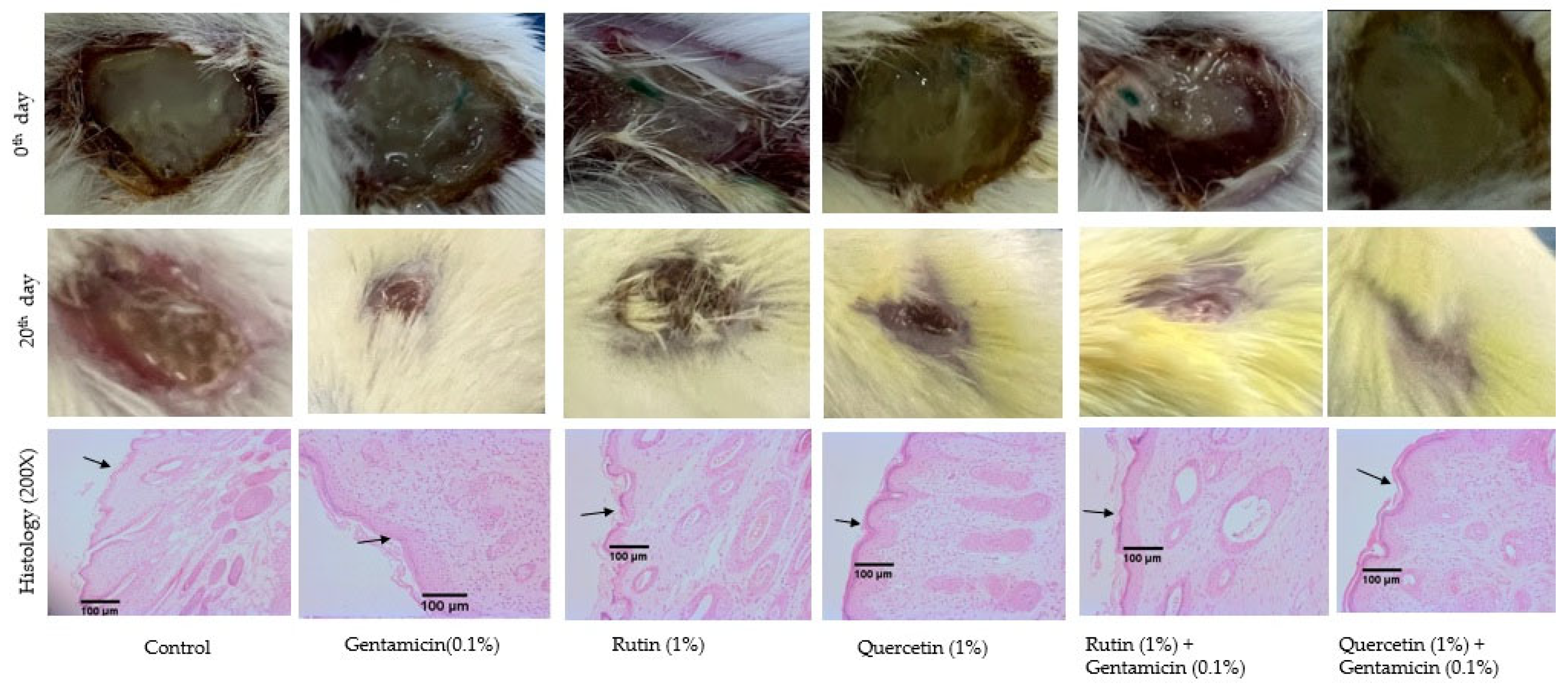 Biology 13 00676 g004