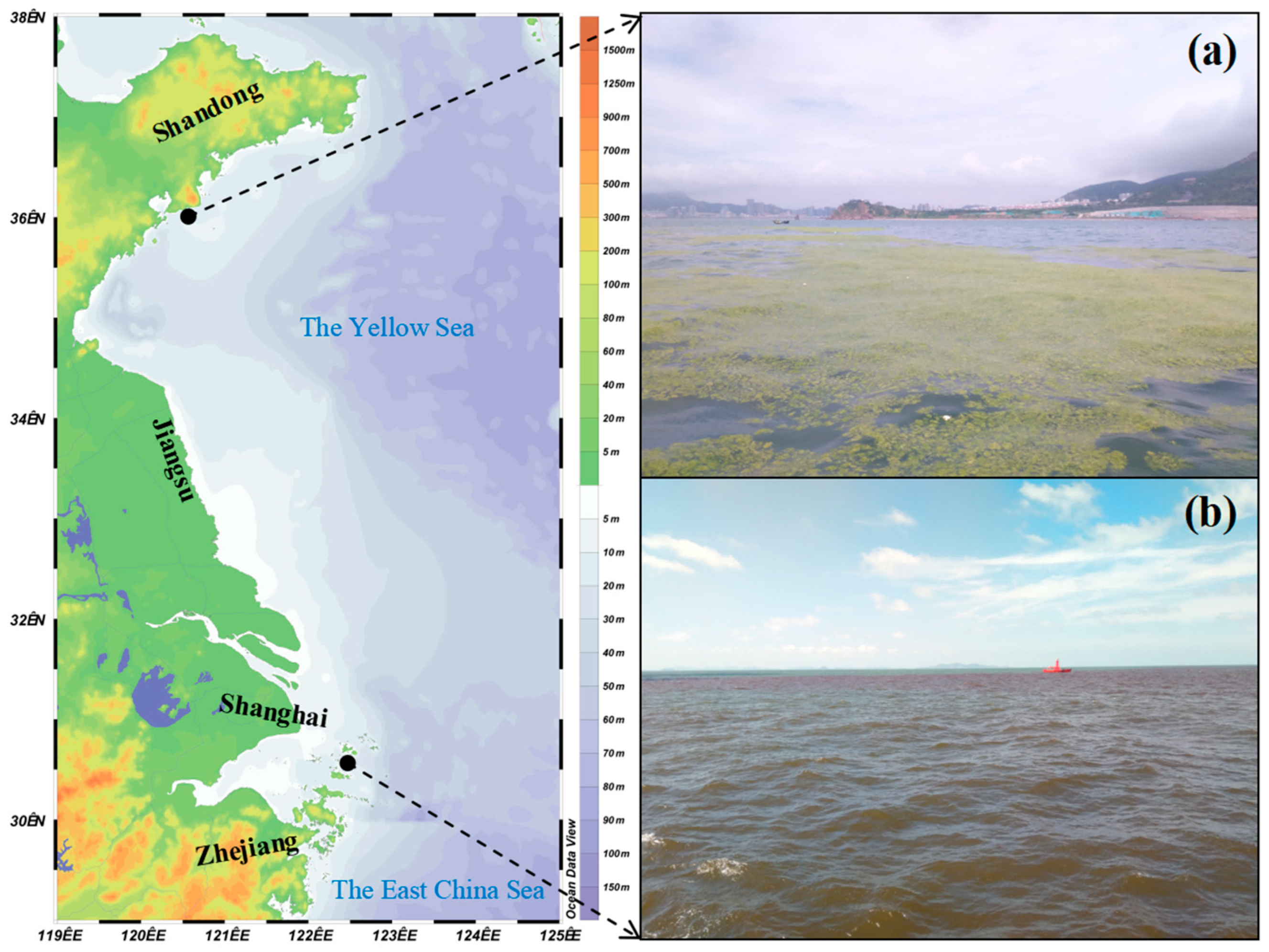 Biology 13 00678 g001