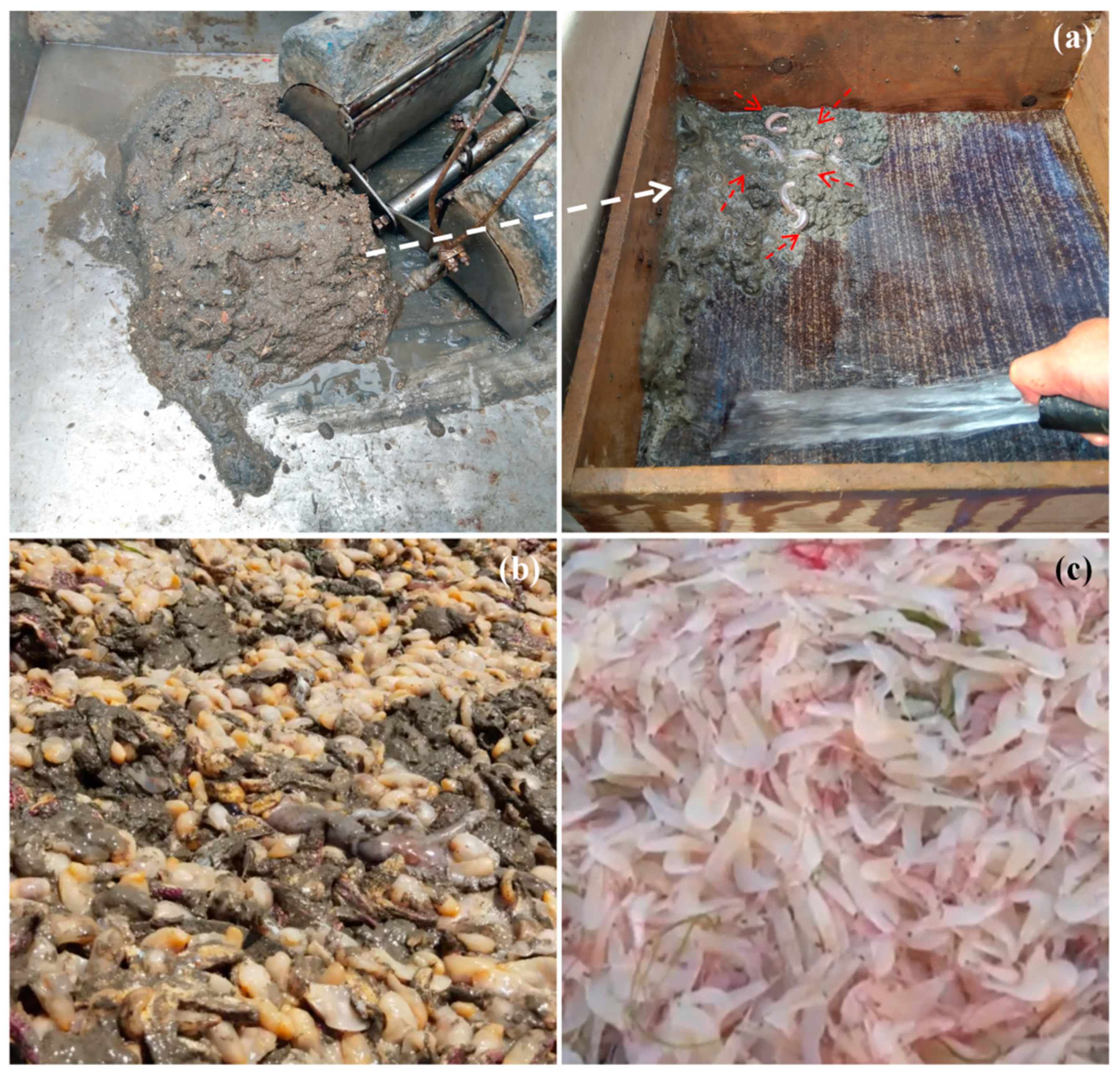 Biology 13 00678 g003