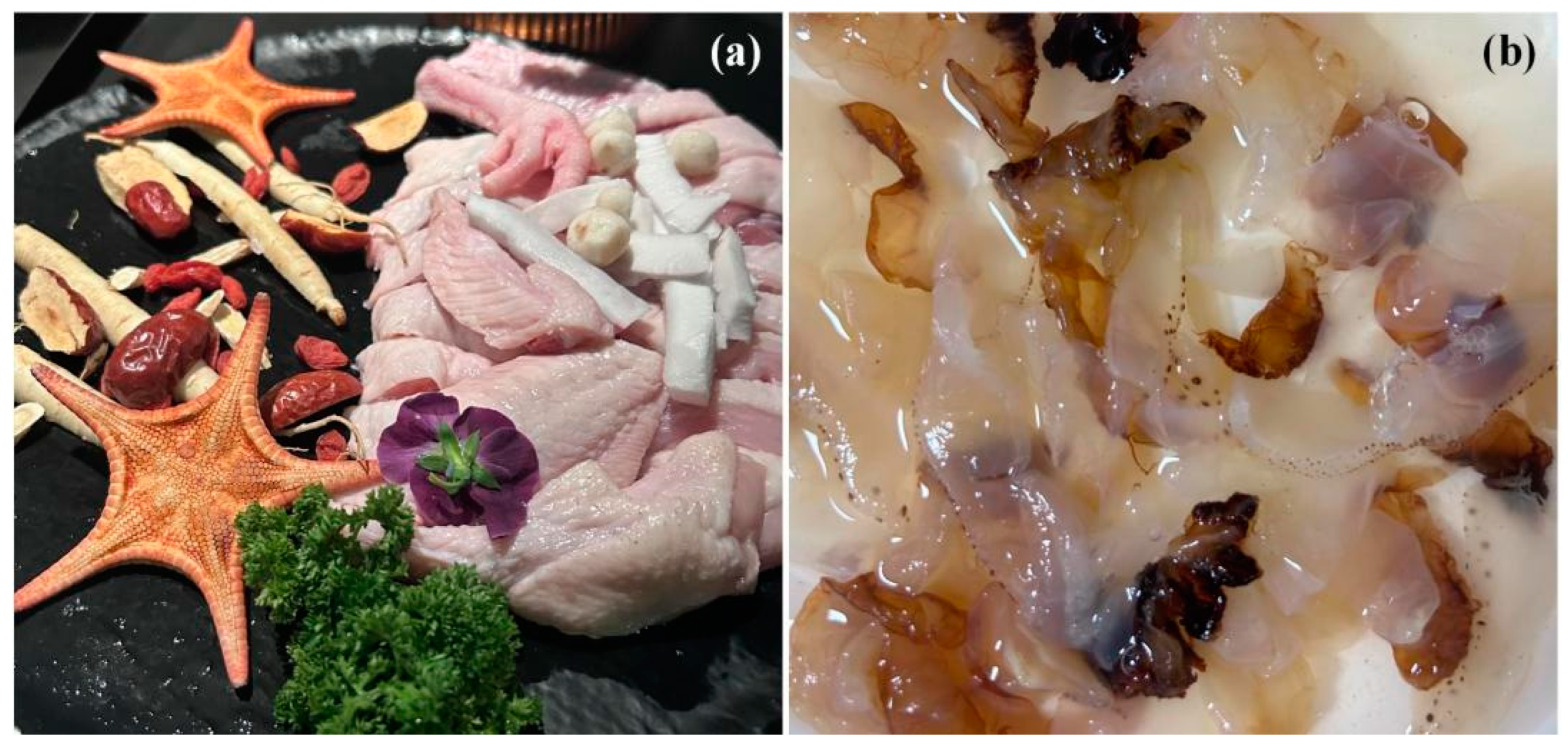 Biology 13 00678 g005