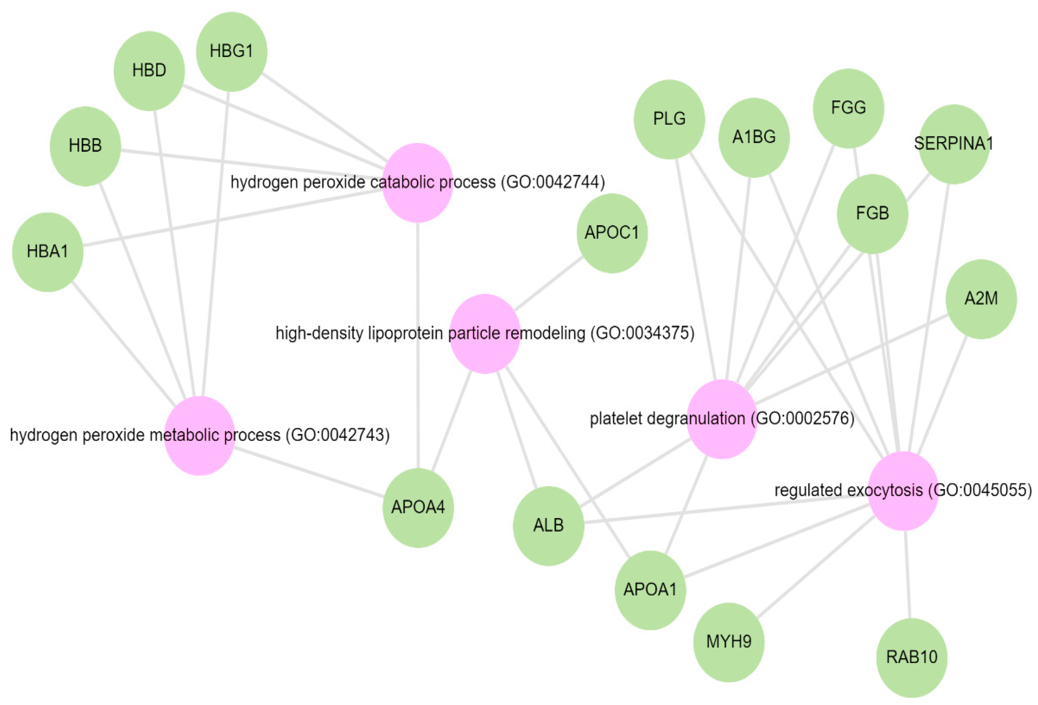 Biology 13 00680 g006 Biology 13 00680 g006