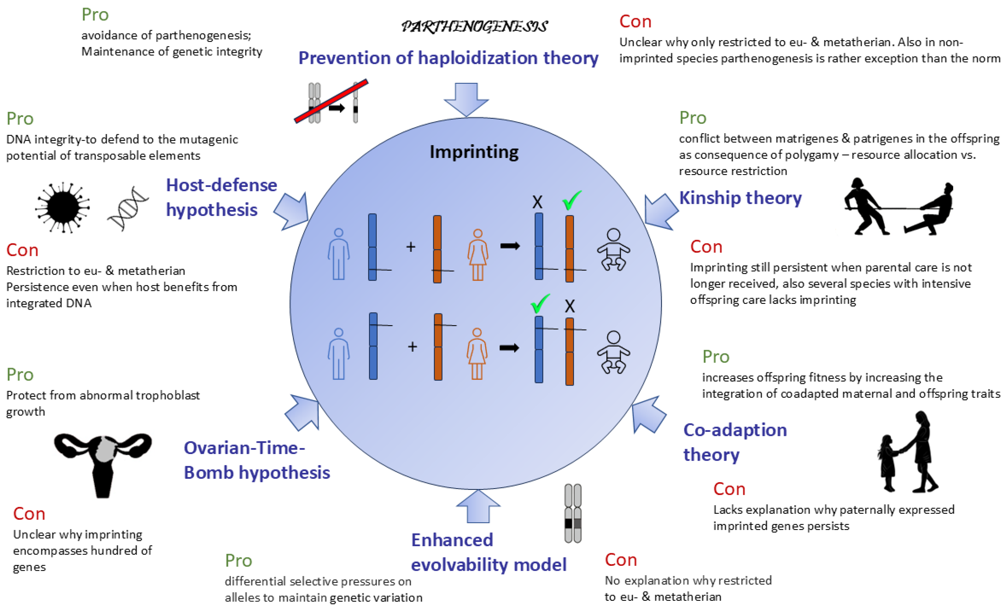 Biology 13 00682 g001