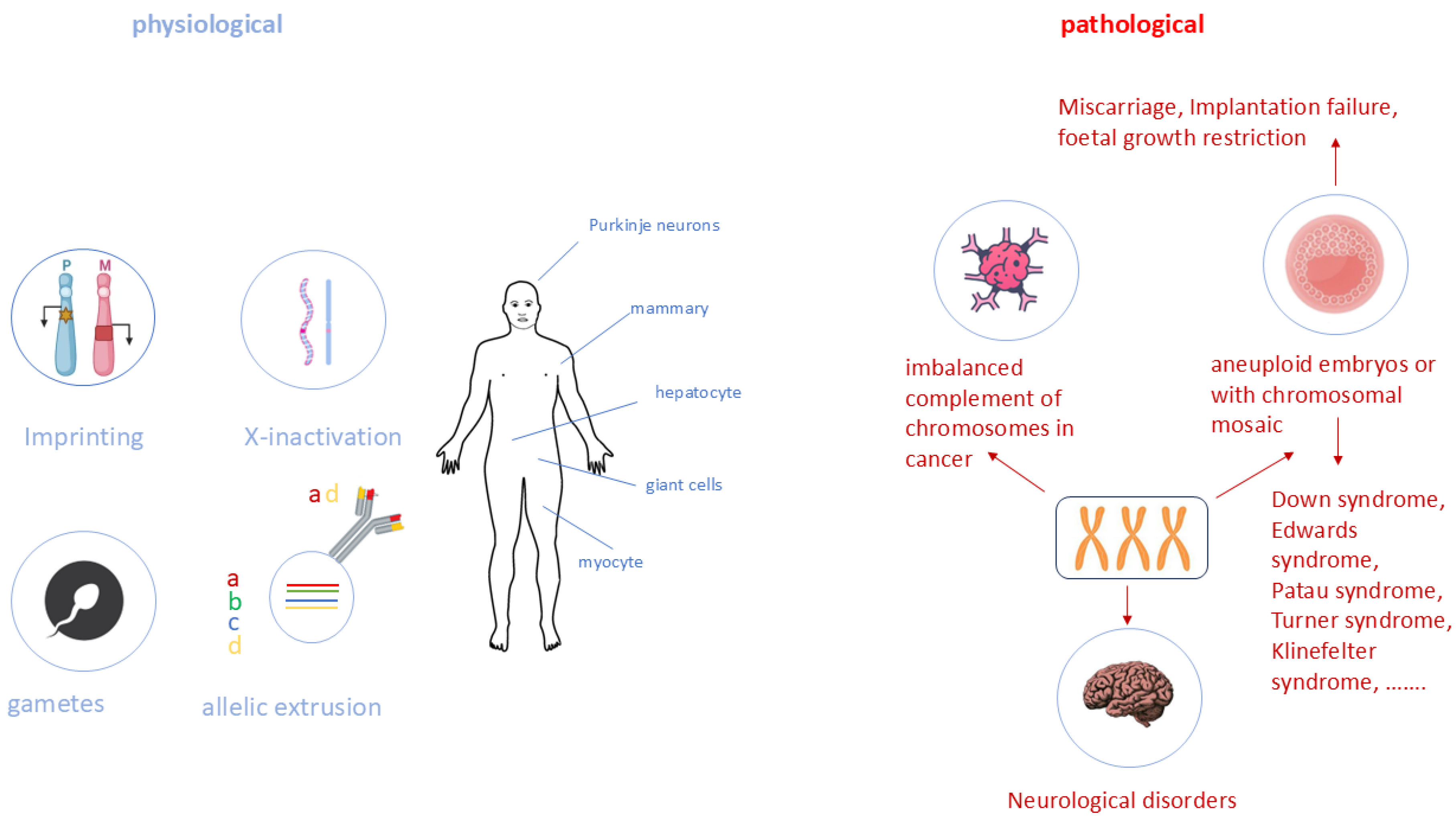 Biology 13 00682 g002