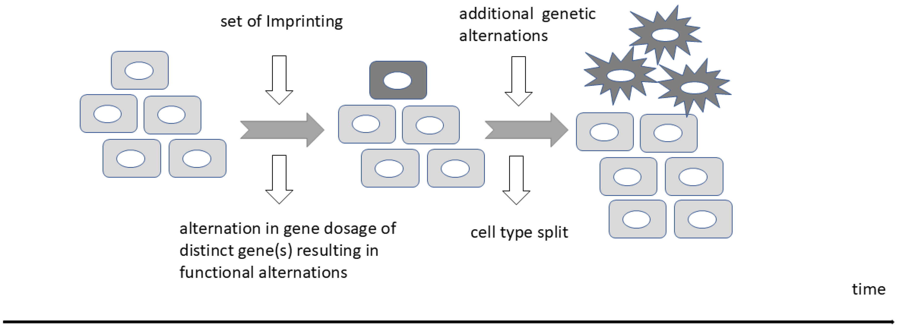 Biology 13 00682 g004