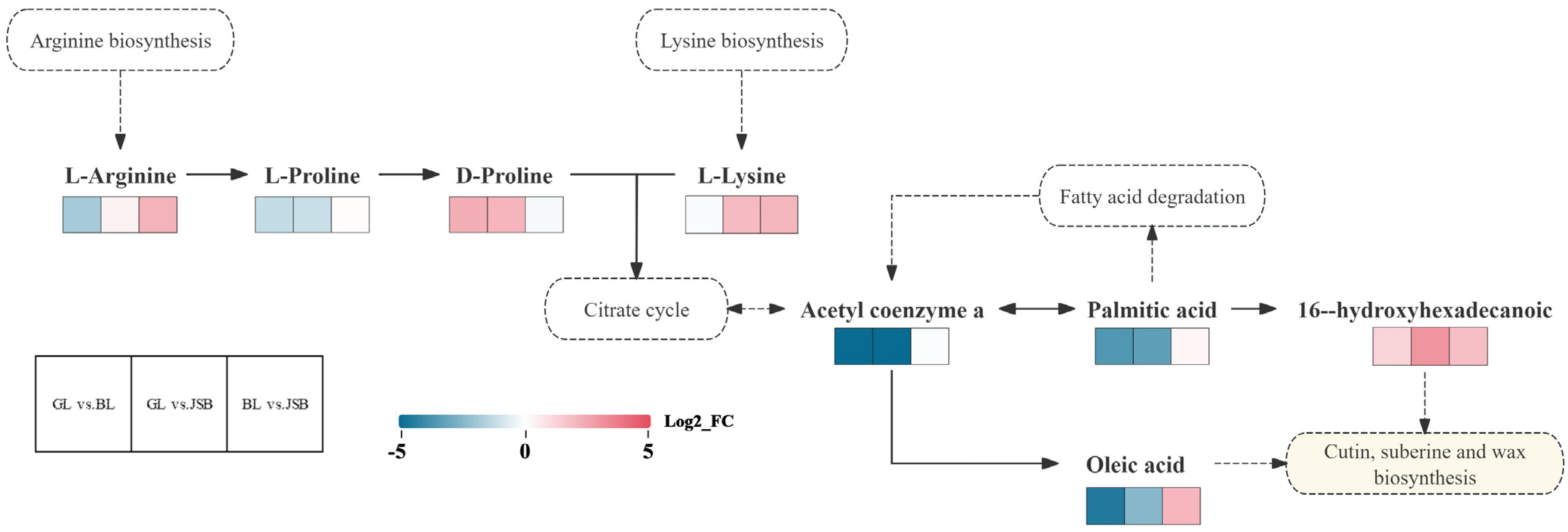 Biology 13 00683 g015