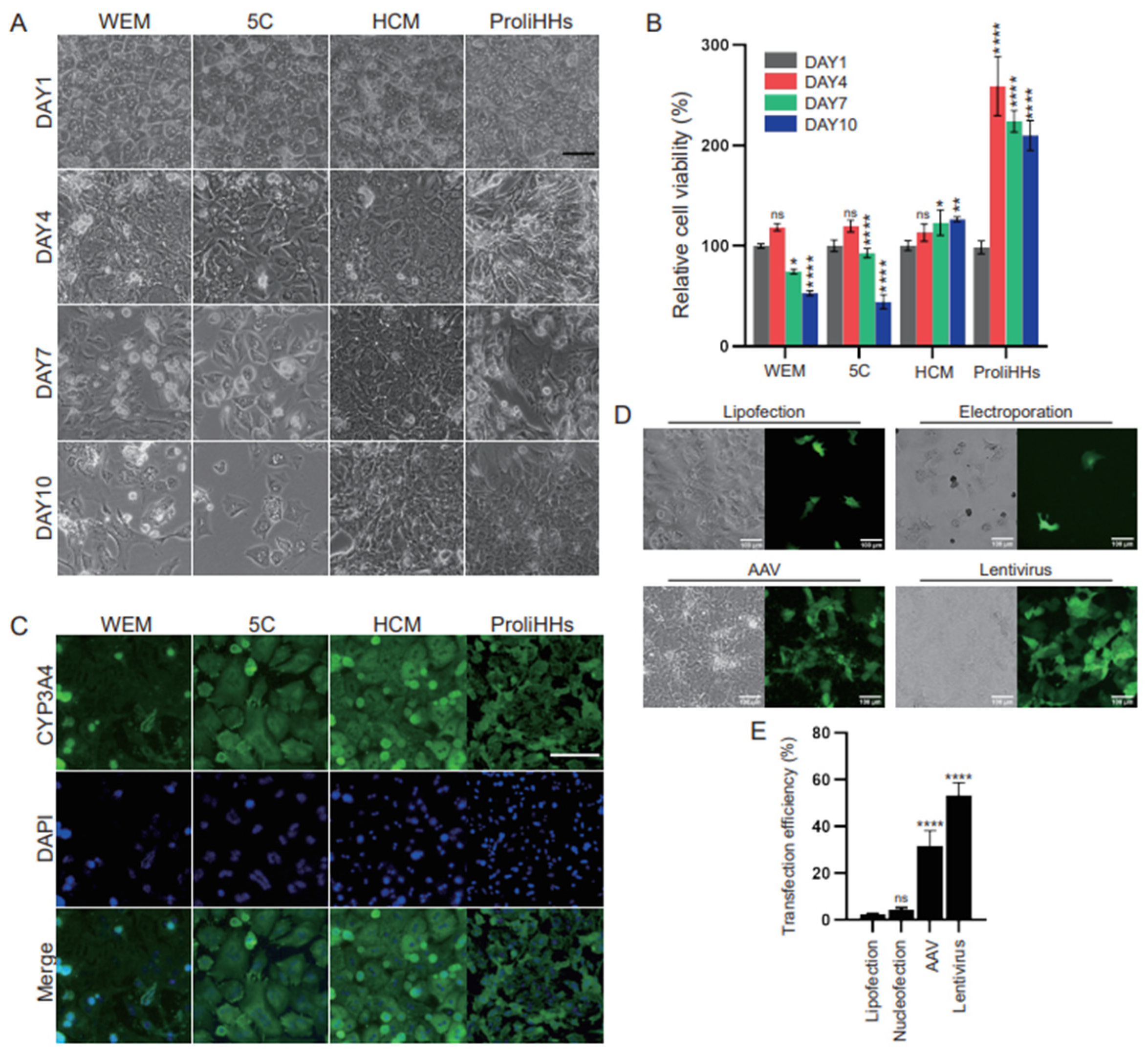Biology 13 00684 g001 Biology 13 00684 g001