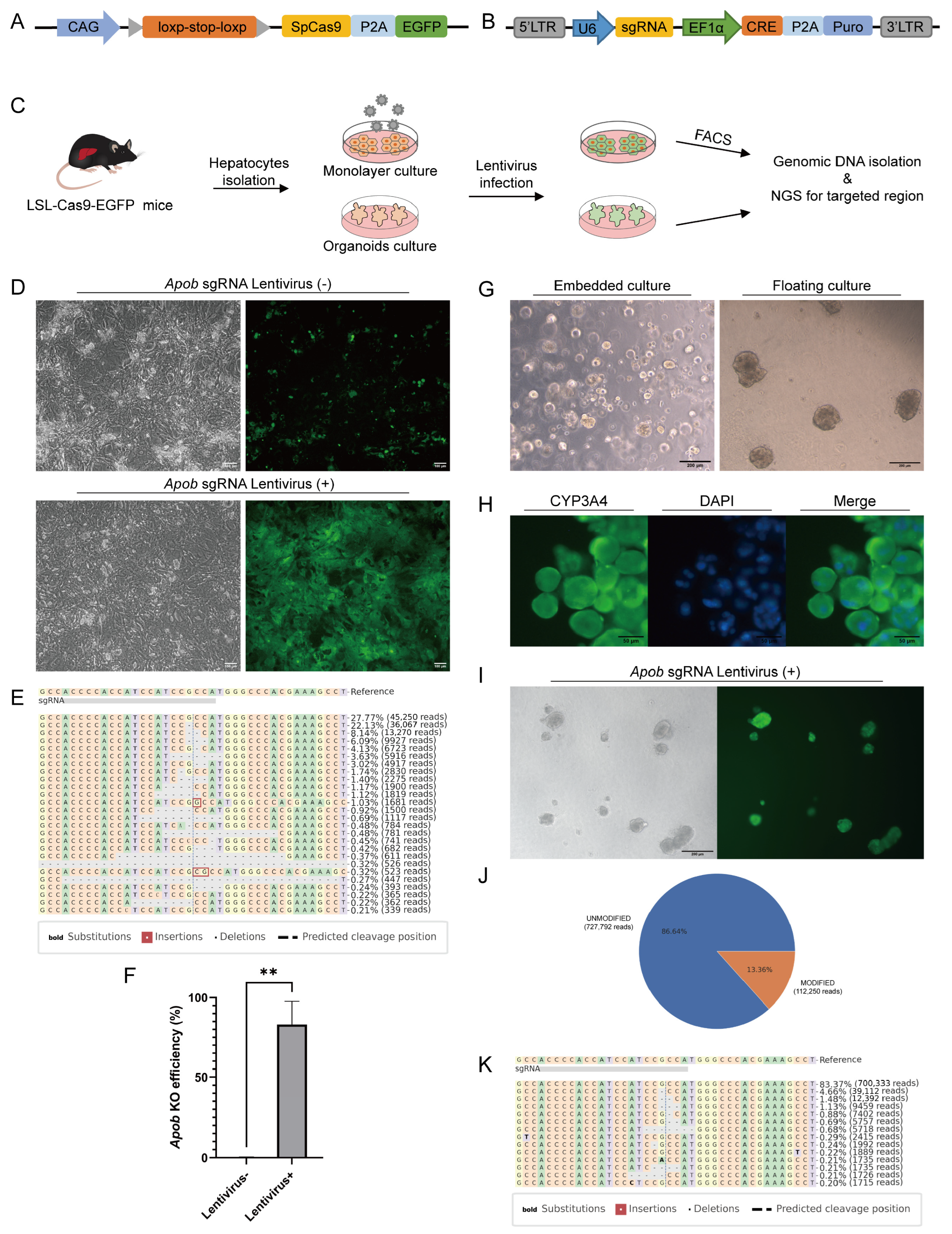 Biology 13 00684 g002 Biology 13 00684 g002