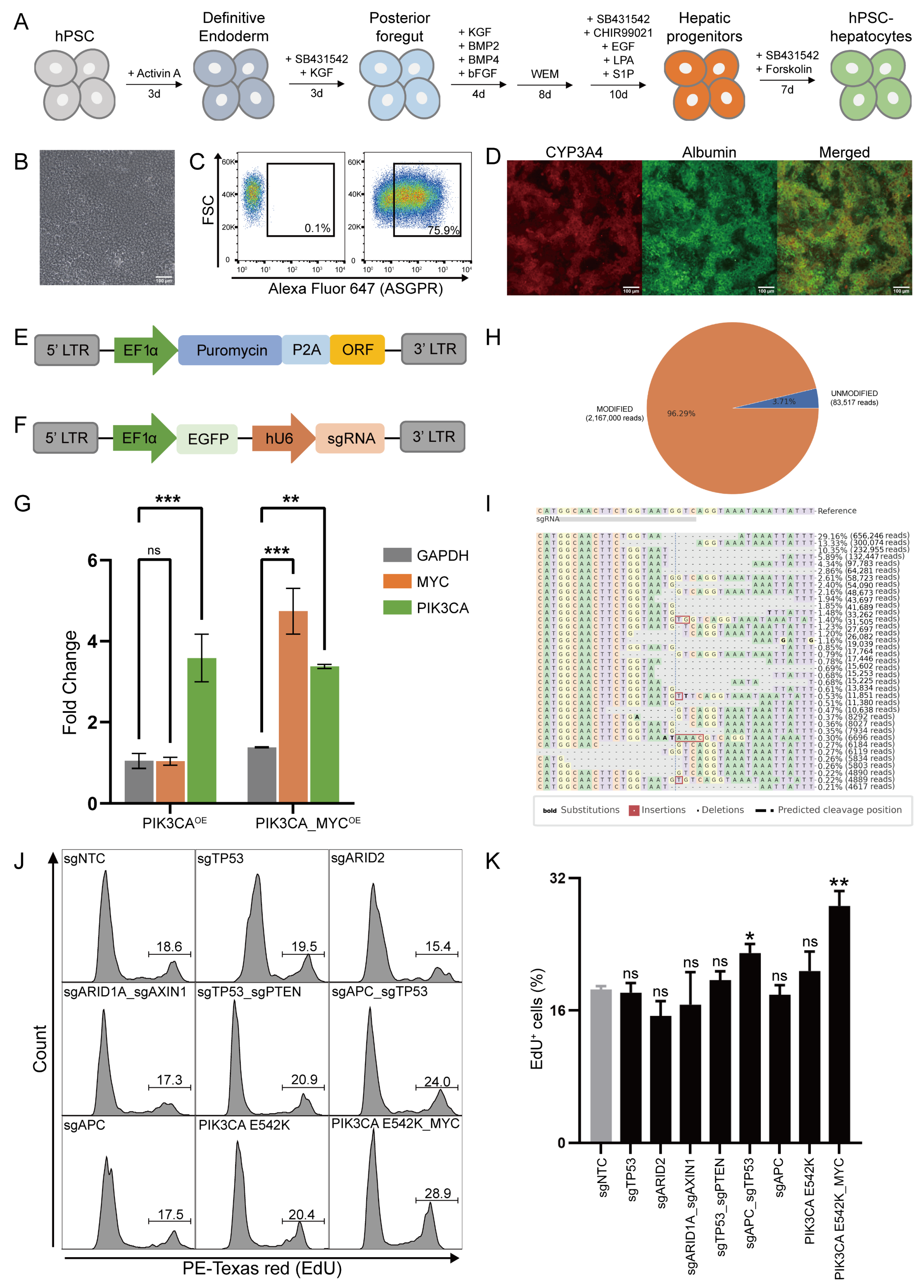 Biology 13 00684 g003 Biology 13 00684 g003
