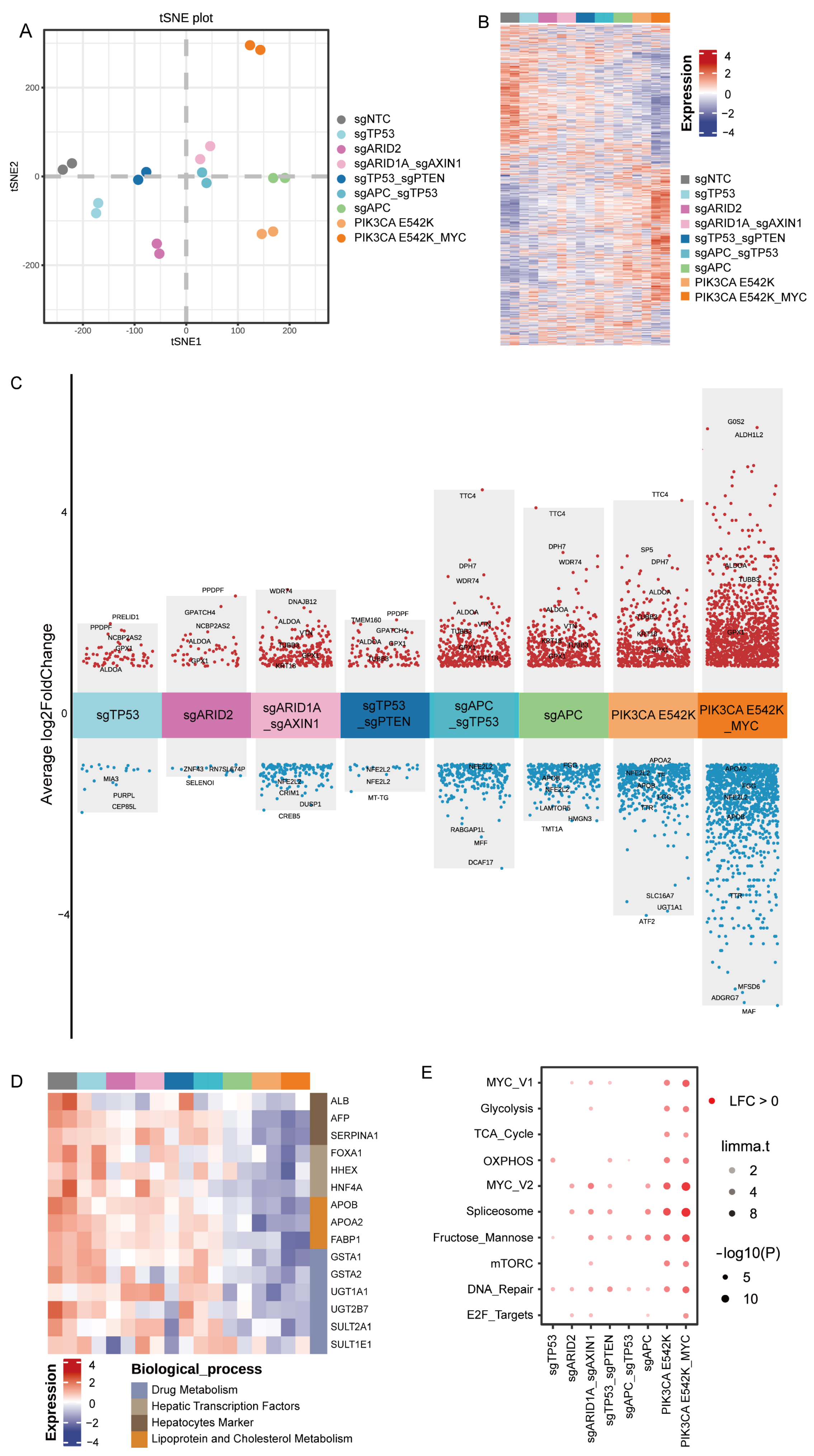 Biology 13 00684 g004 Biology 13 00684 g004