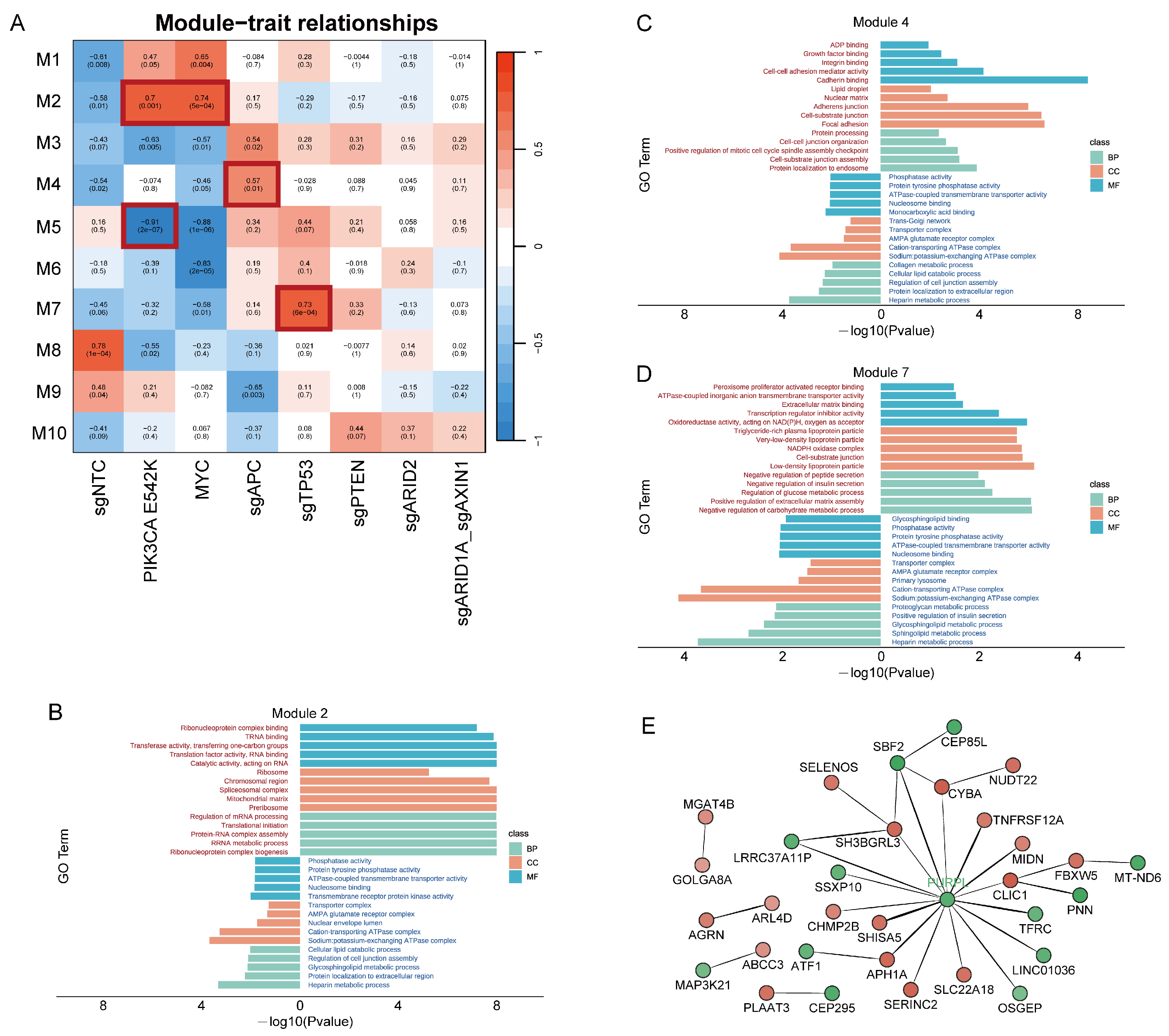 Biology 13 00684 g005 Biology 13 00684 g005