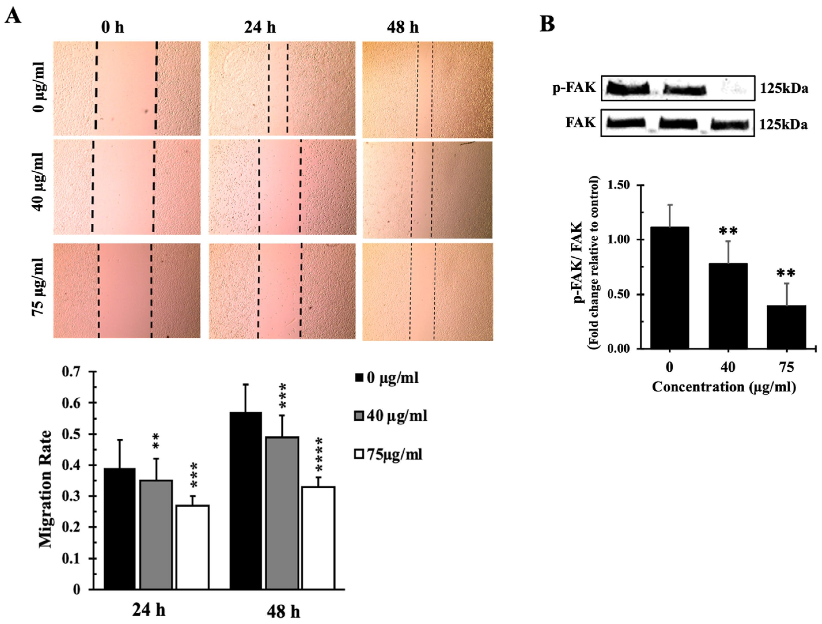 Biology 13 00687 g008
