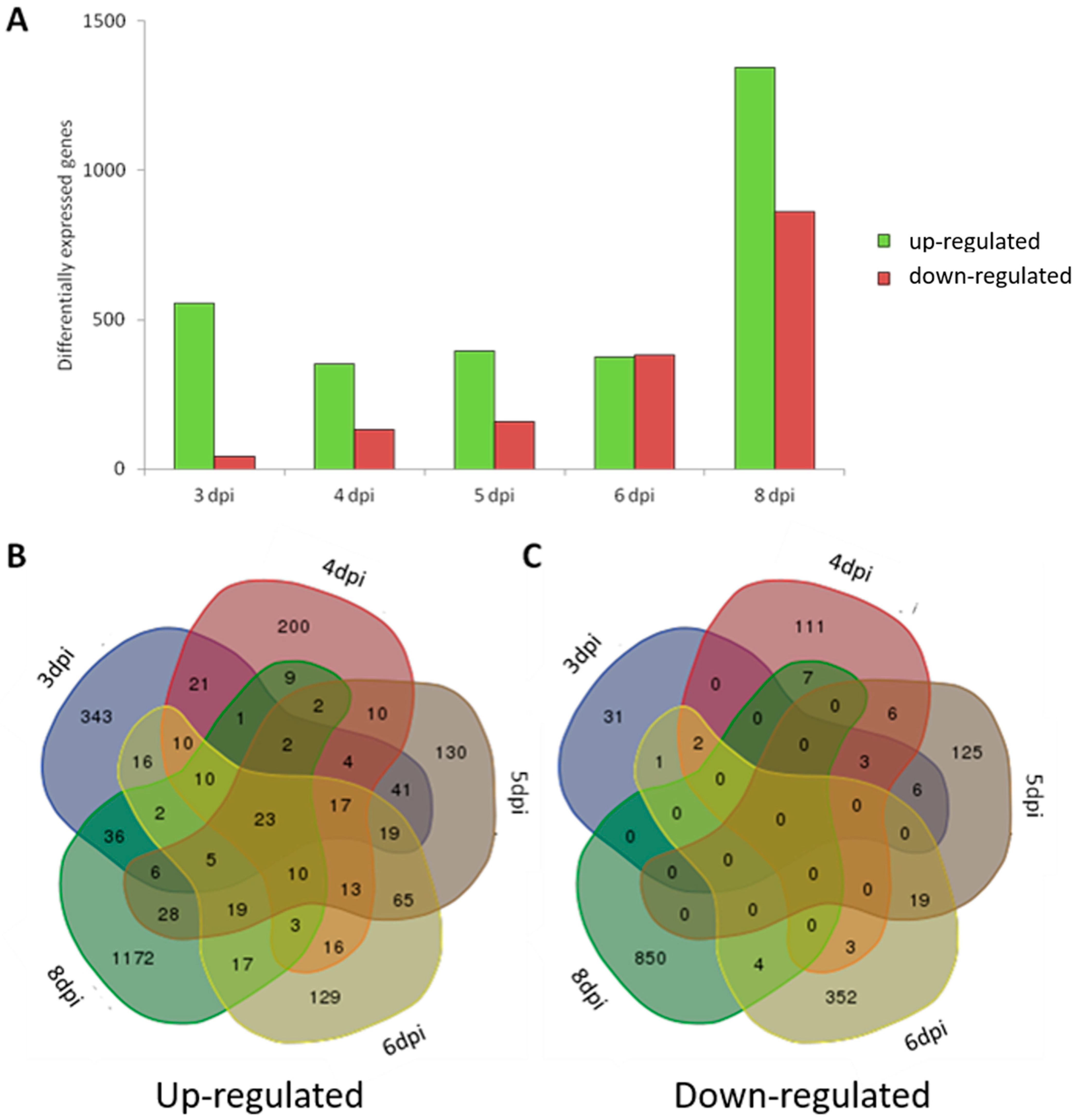 Biology 13 00688 g006