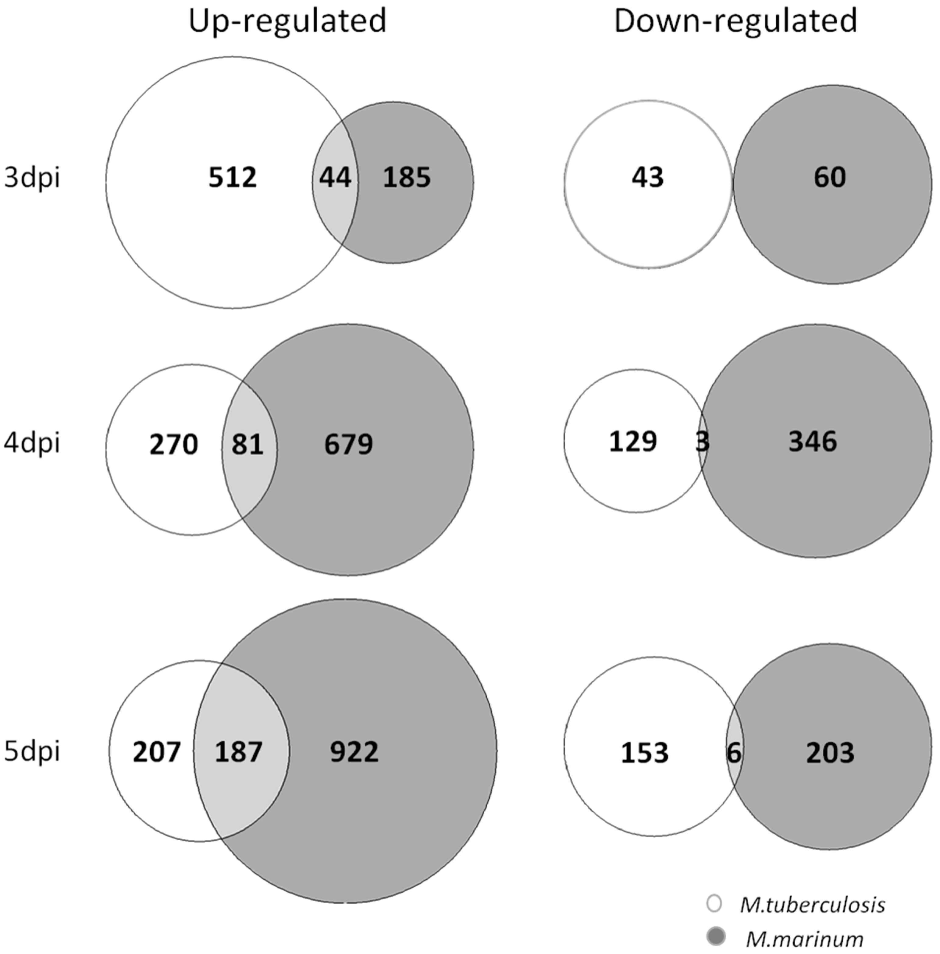 Biology 13 00688 g007