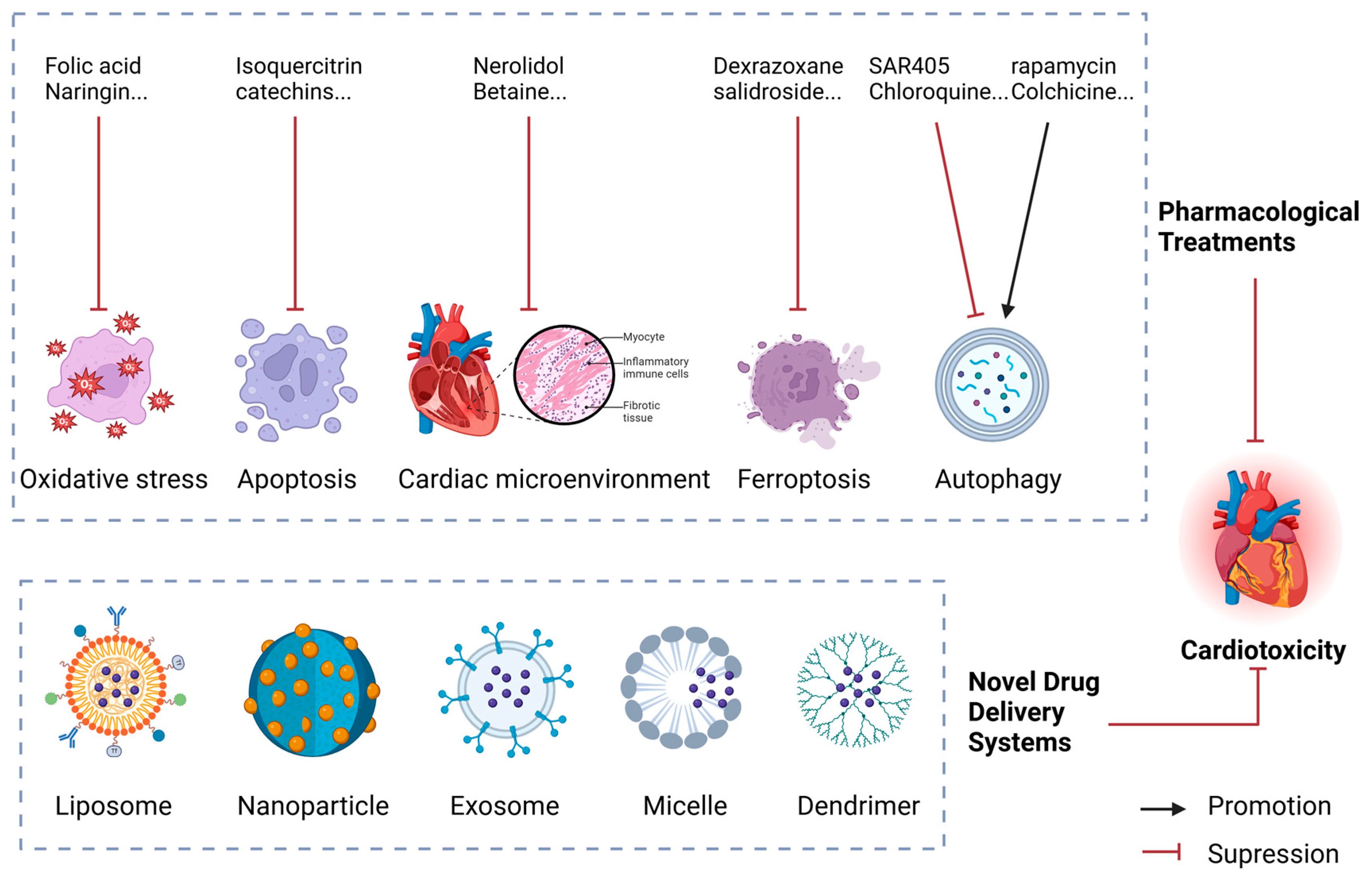 Biology 13 00689 g005