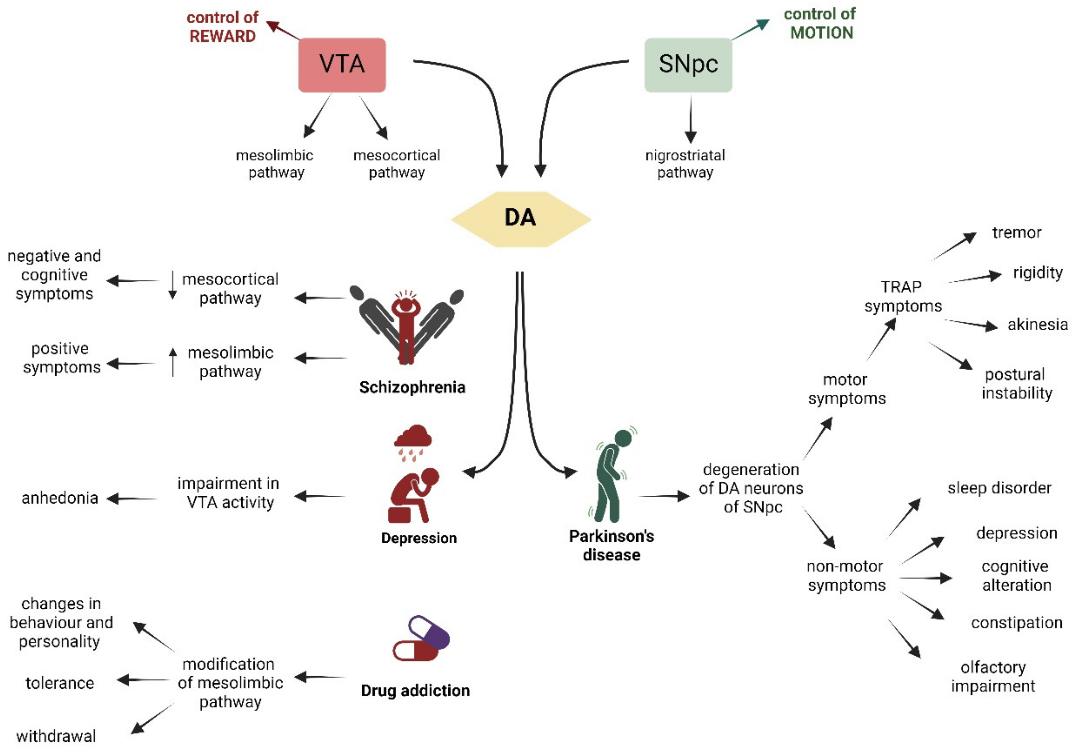 Biology 13 00690 g003