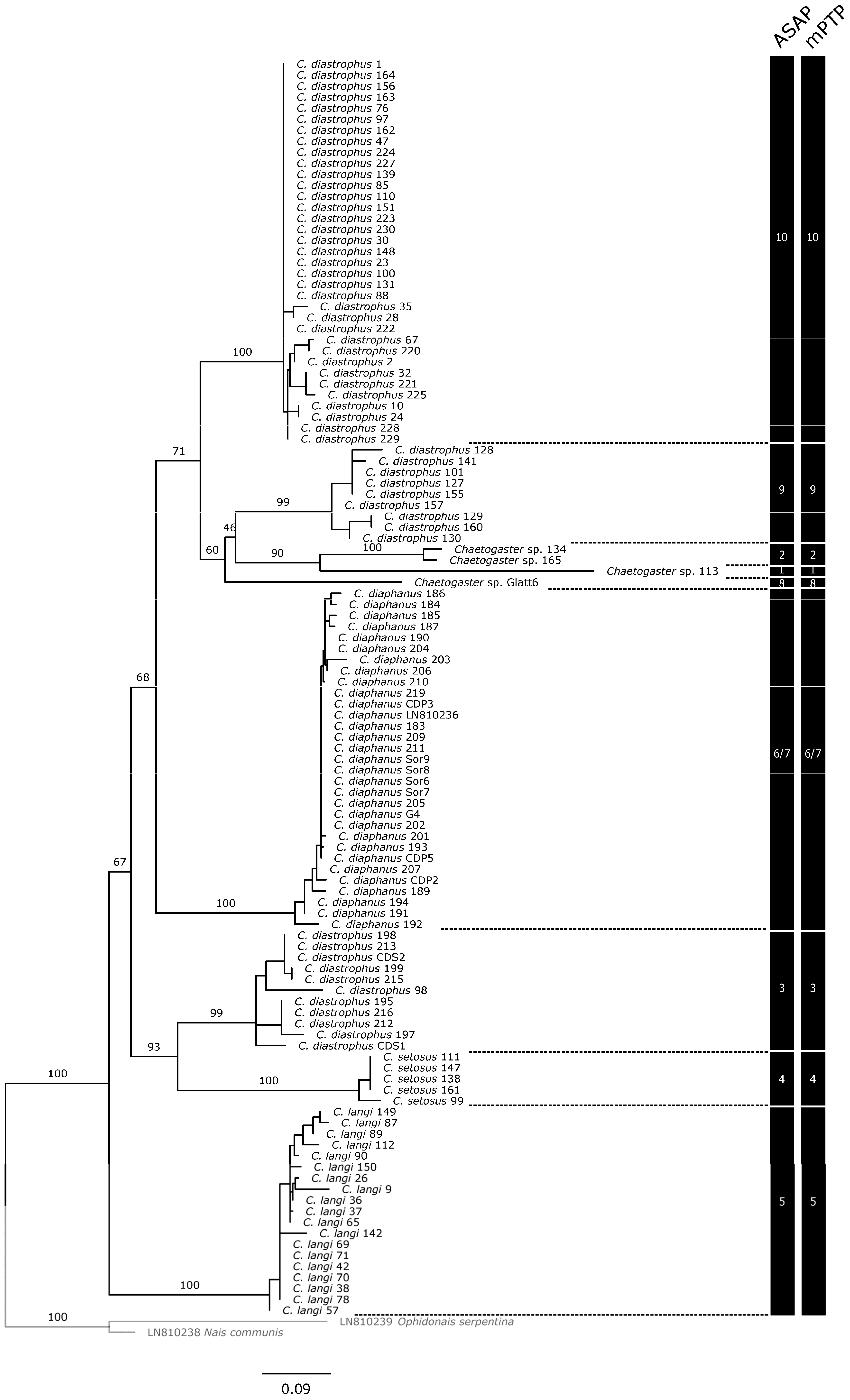 Biology 13 00693 g002