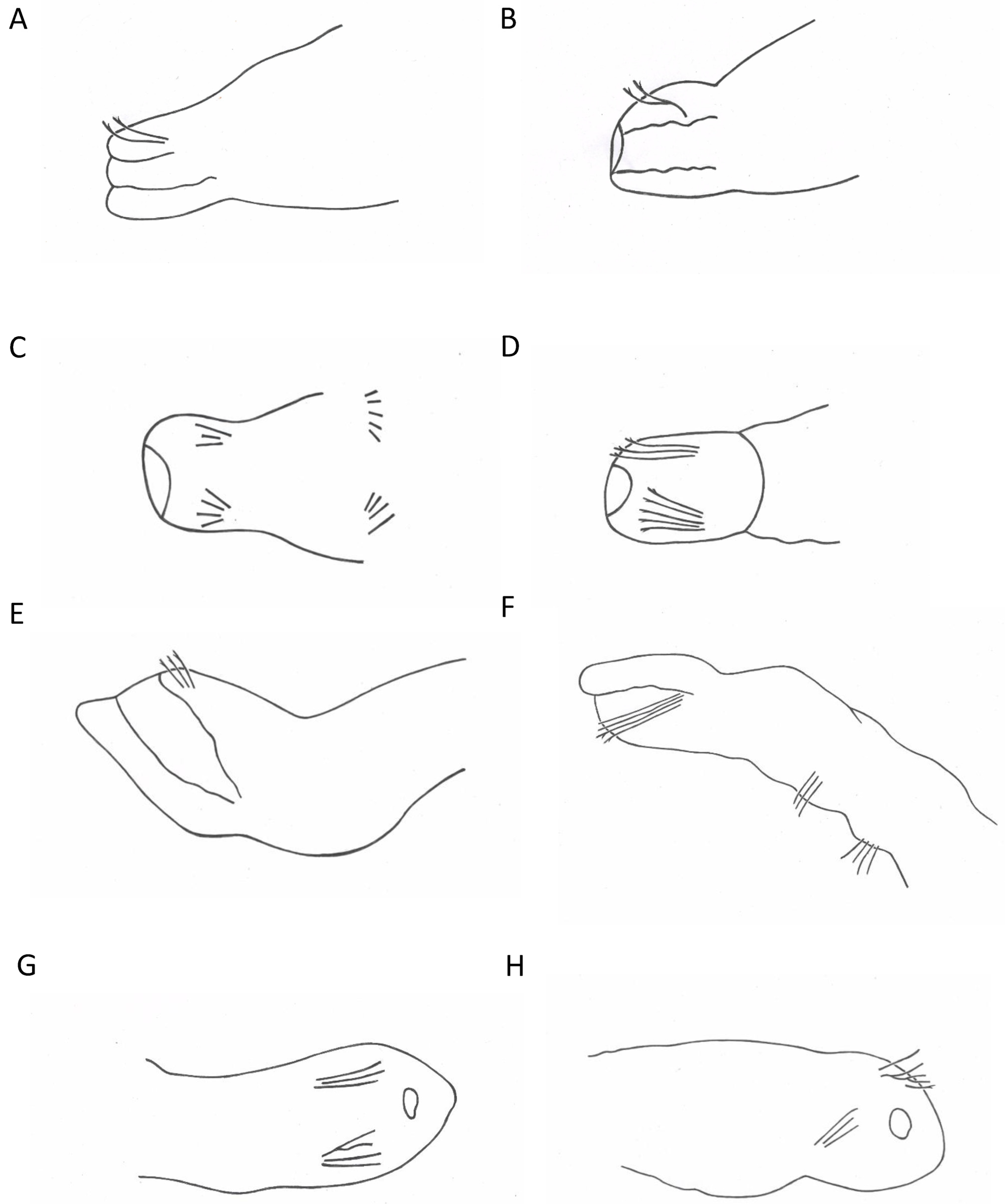 Biology 13 00693 g003